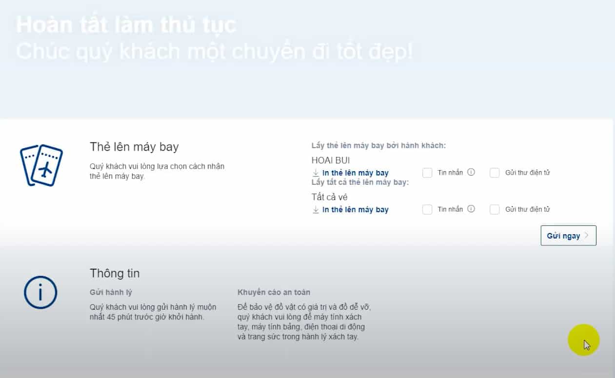 Hướng dẫn check in online Bamboo Airways - Lựa chọn lọa thẻ