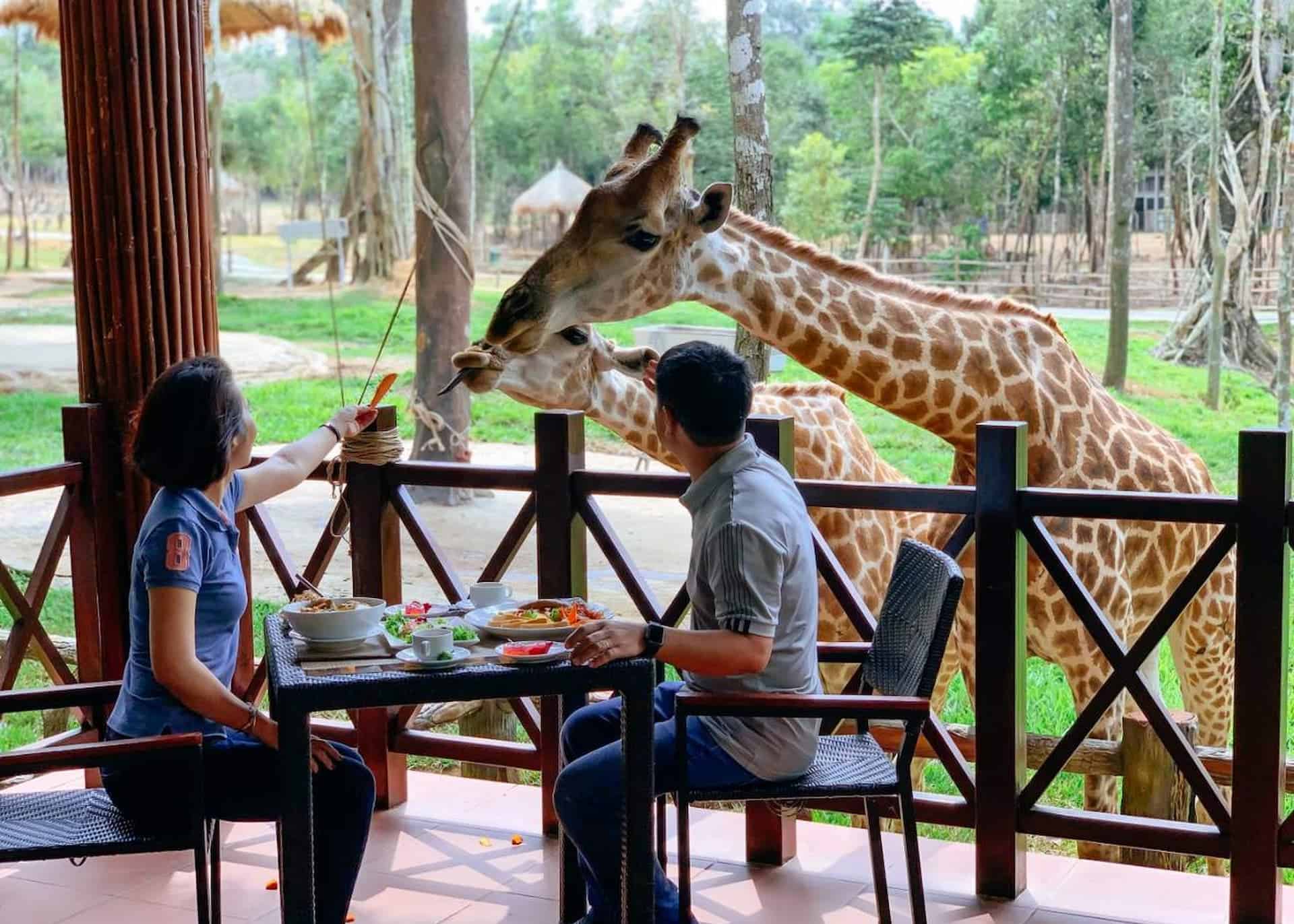 Ăn gì ở Vinpearl Safari Phú Quốc