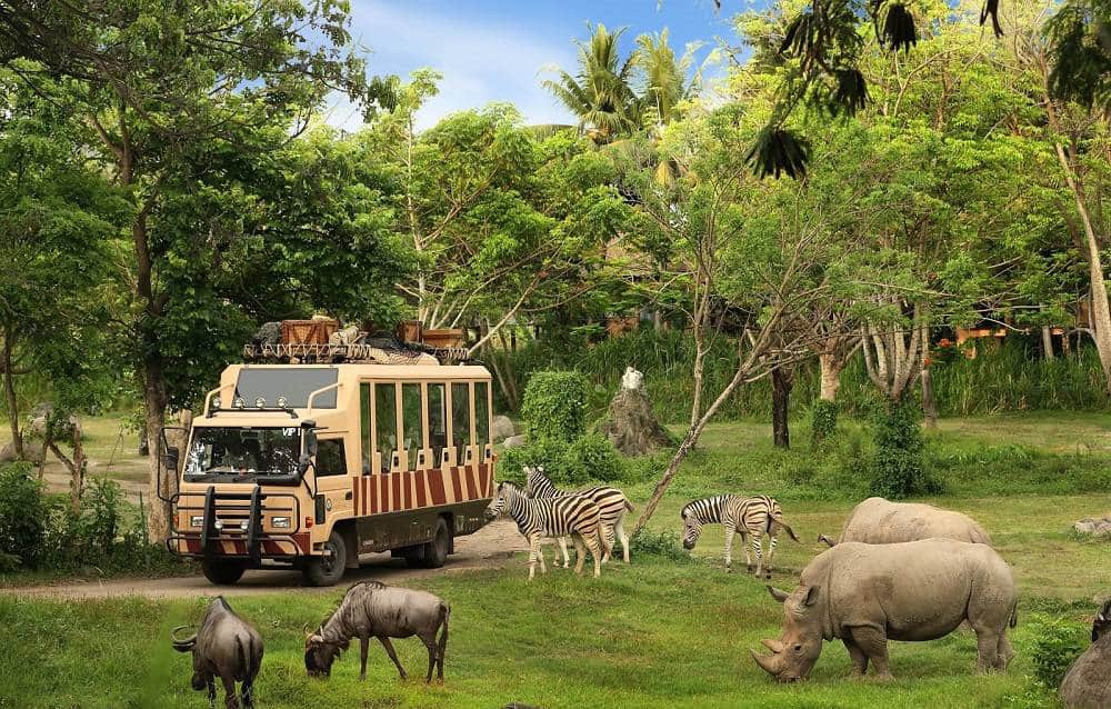 Chơi gì ở Vinpearl Safari Phú Quốc