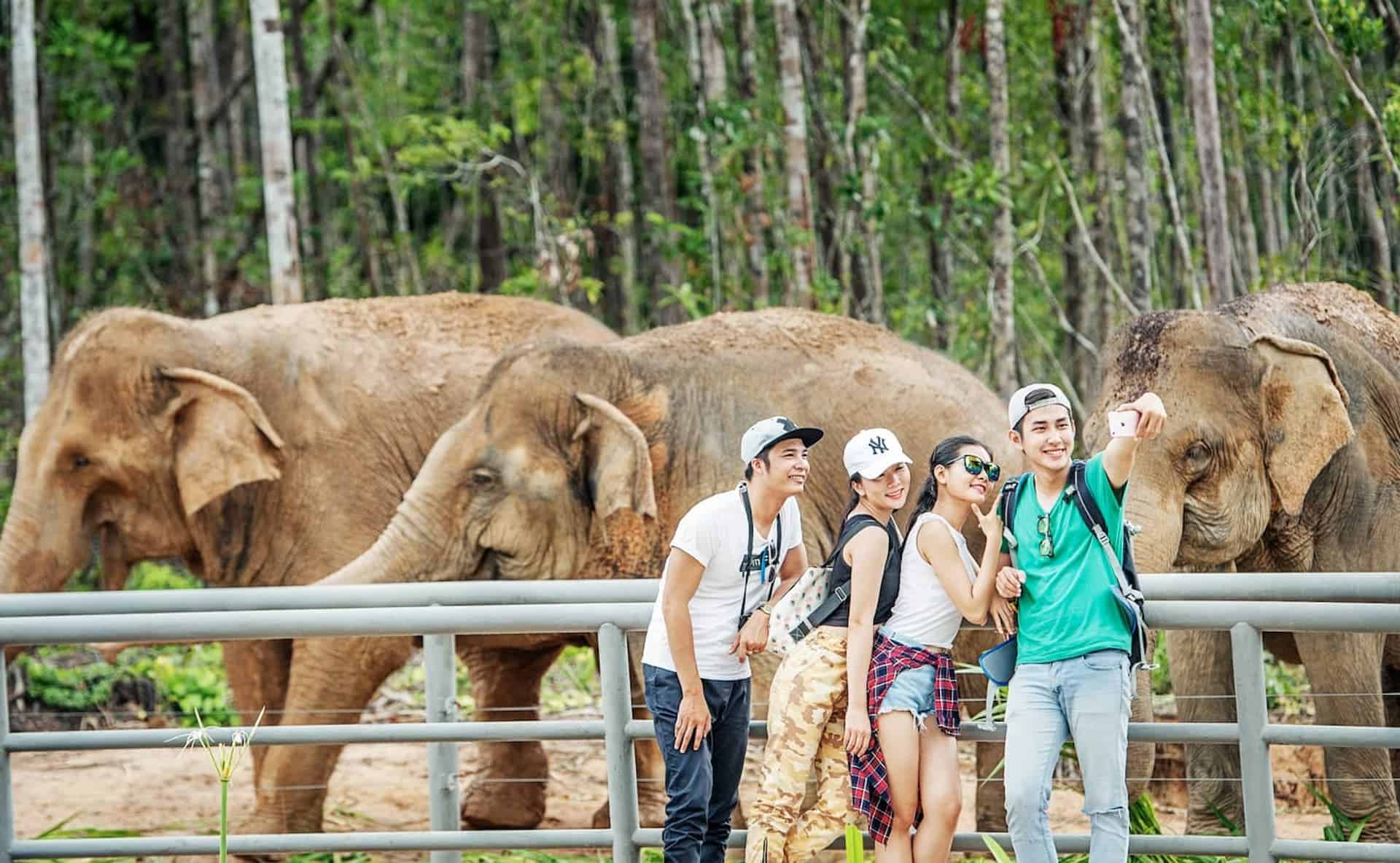 Chụp ảnh cùng động vật - chơi gì ở Vinpearl Safari Phú Quốc