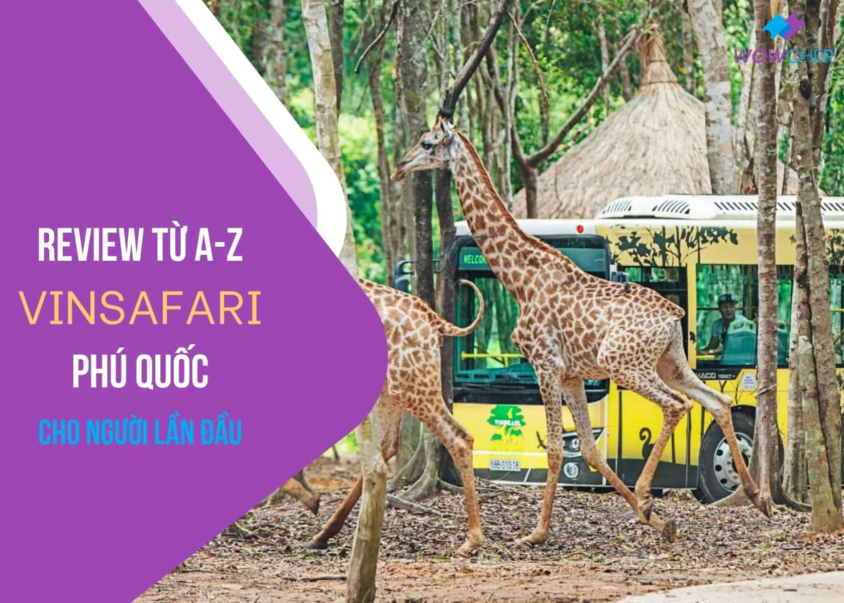 [THỰC TẾ] Review Vinpearl Safari Phú Quốc chi tiết: Kinh nghiệm tham quan vườn thú A-Z