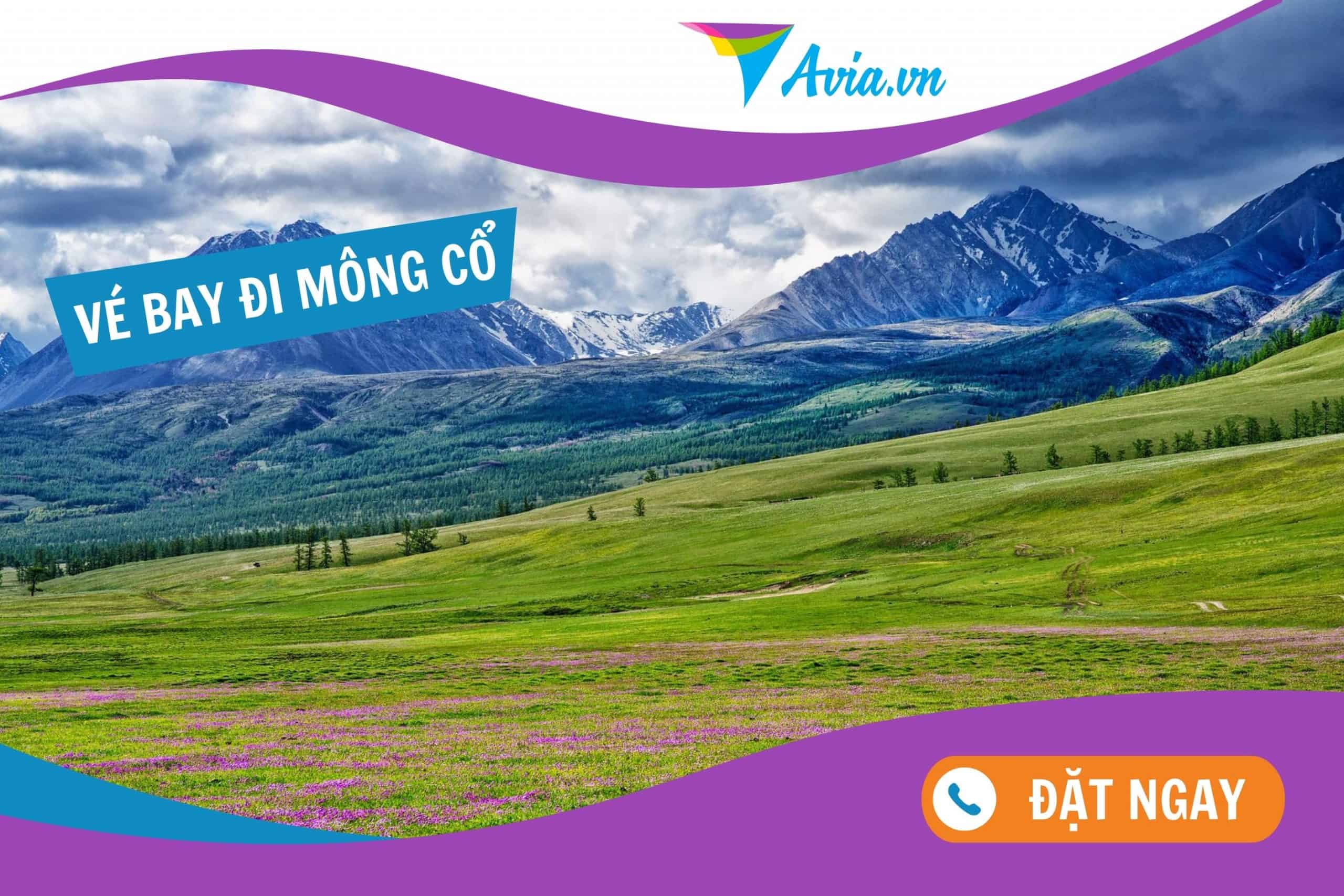 mua ve may bay di mong co gia re