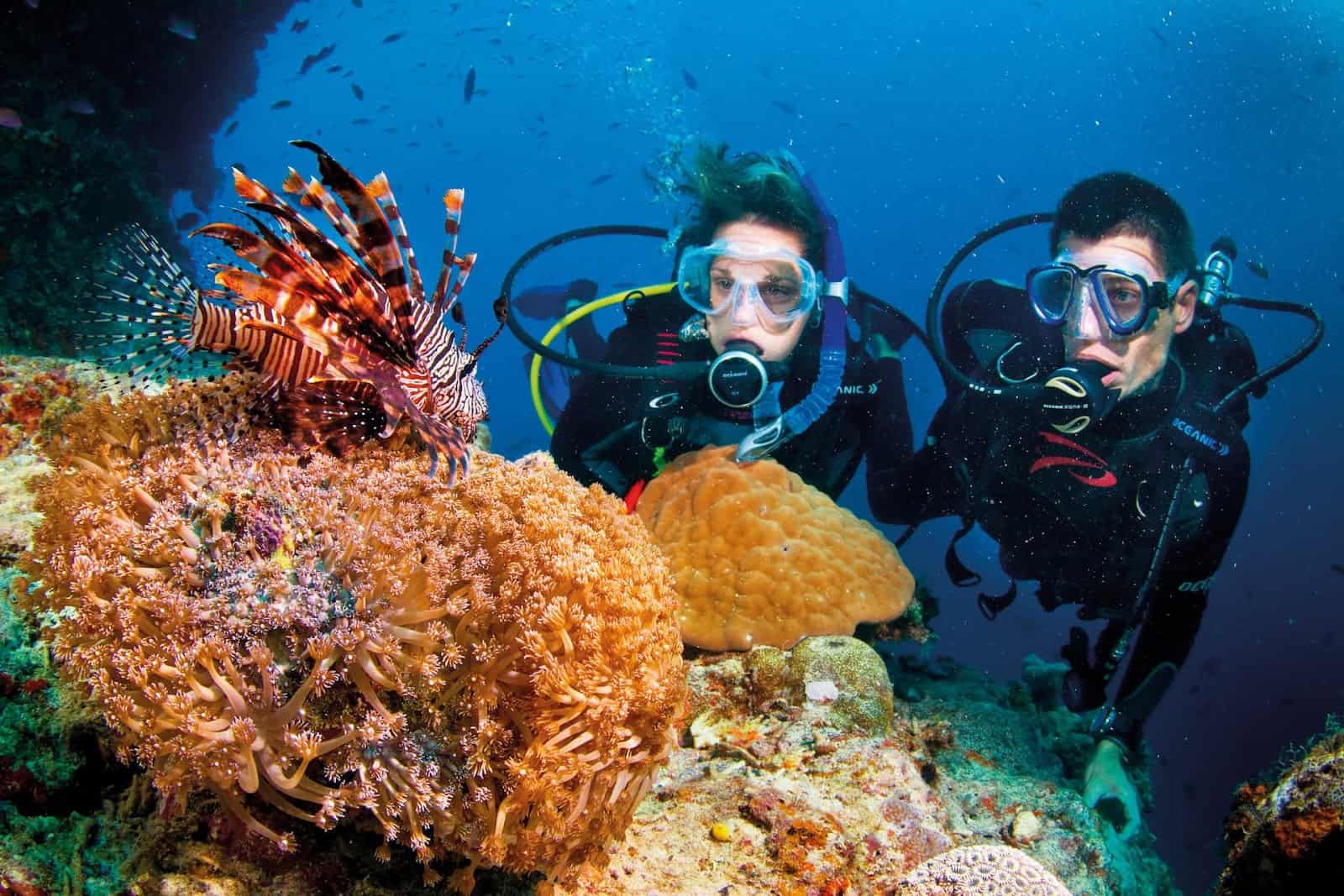 lịch trình đi vinpearl nha trang ngày 2