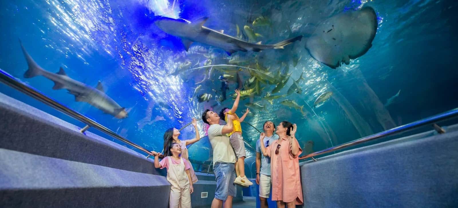 Thuỷ cung Vinpearl - kinh nghiệm đi vinpearl nha trang