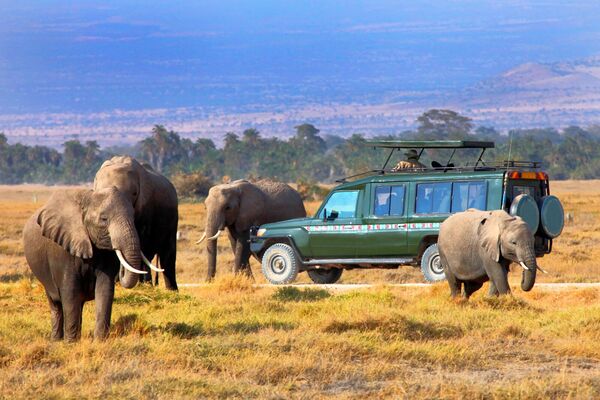 du lịch kenya