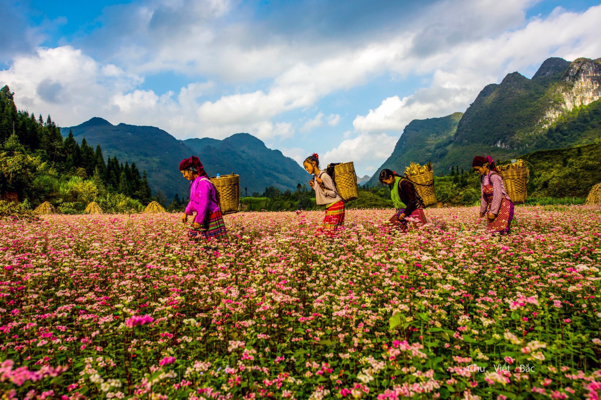 Tour Hà Giang 4 ngày 3 đêm – Khám…