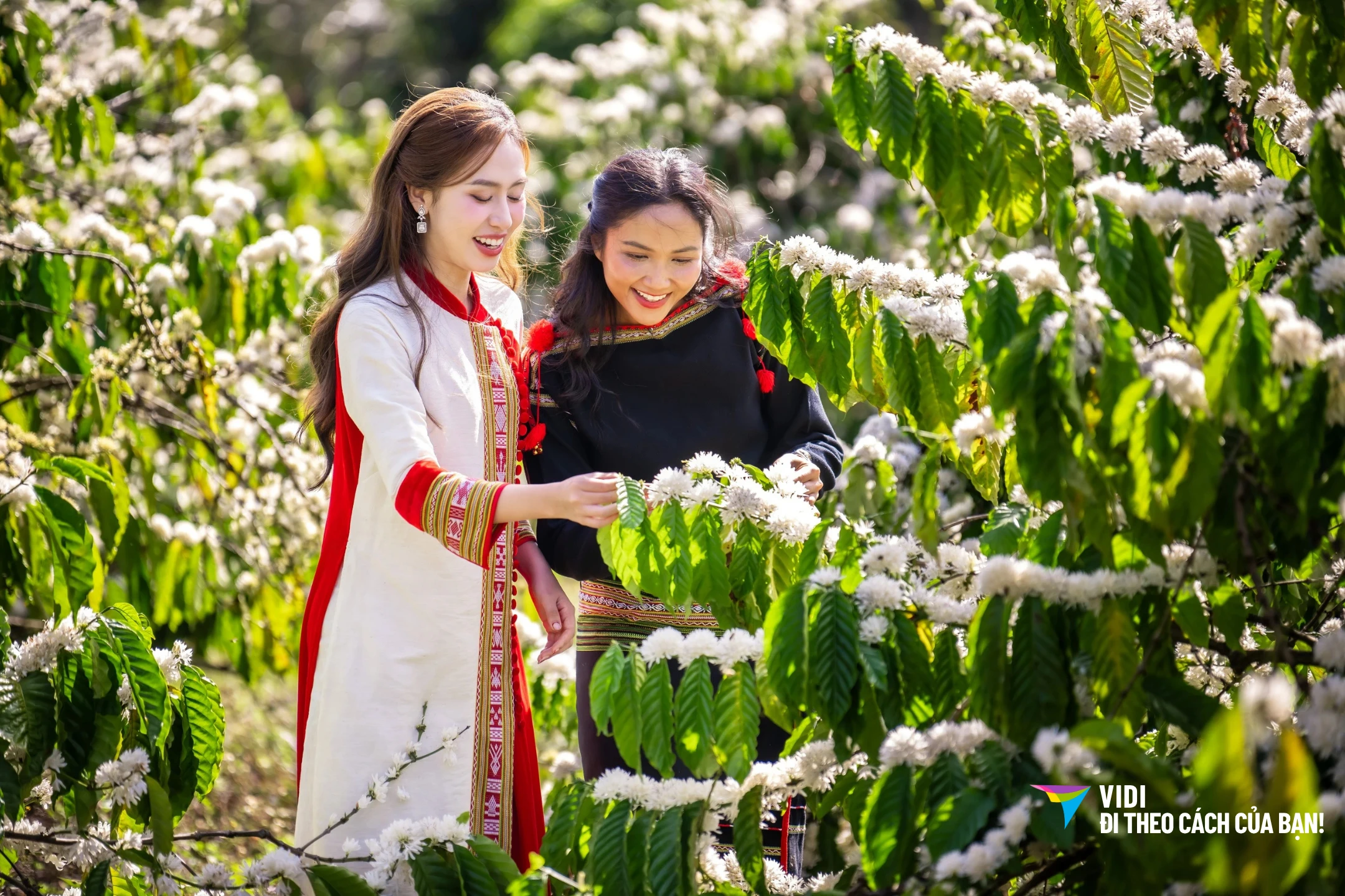 Tour Hà Nội - Buôn Mê Thuột - KonTum - Pleiku 4 ngày 3 đêm