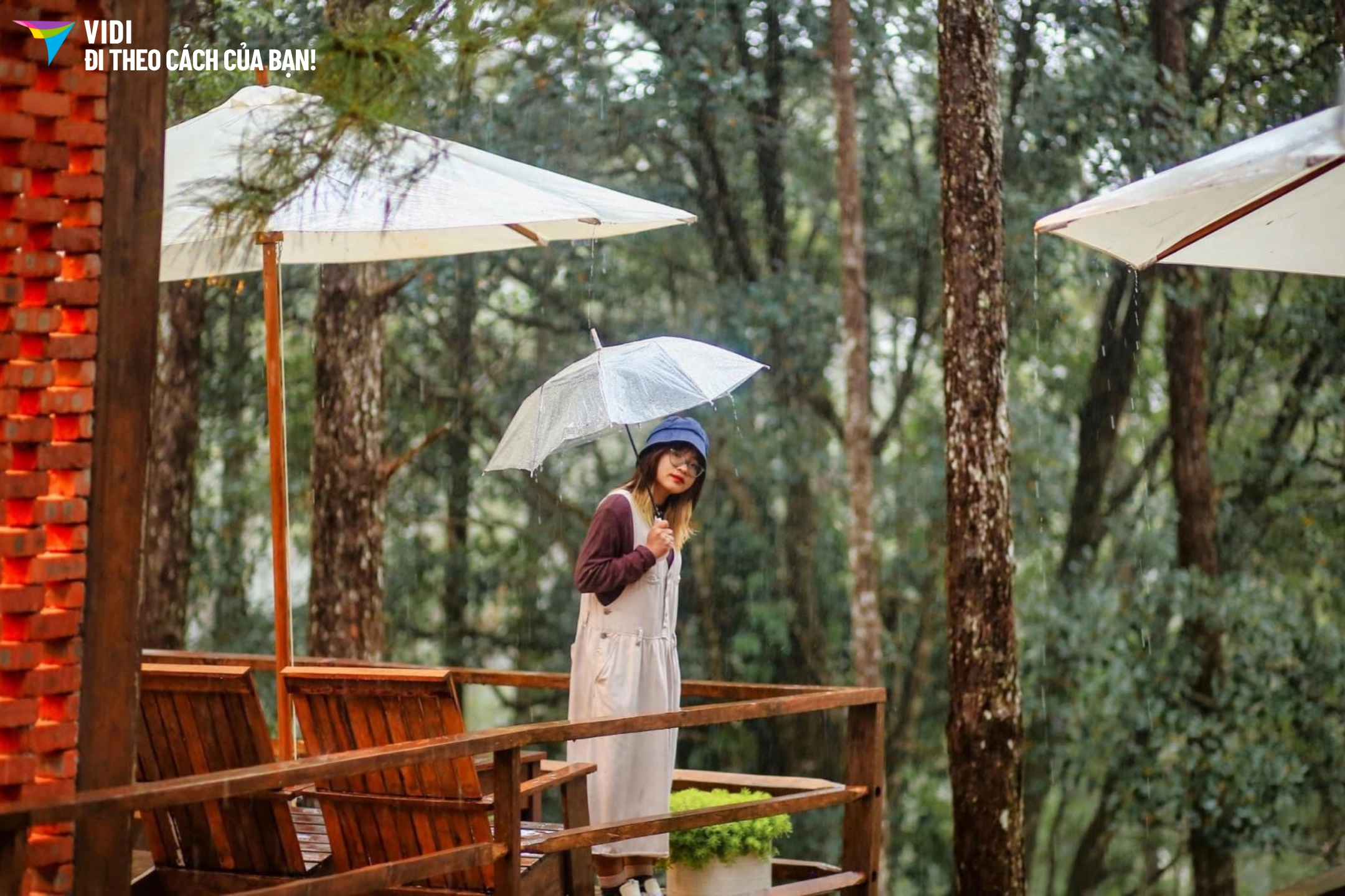 Tour Hồ Chí Minh – Măng Đen – Pleiku – Buôn Ma Thuột 3 ngày 3 đêm