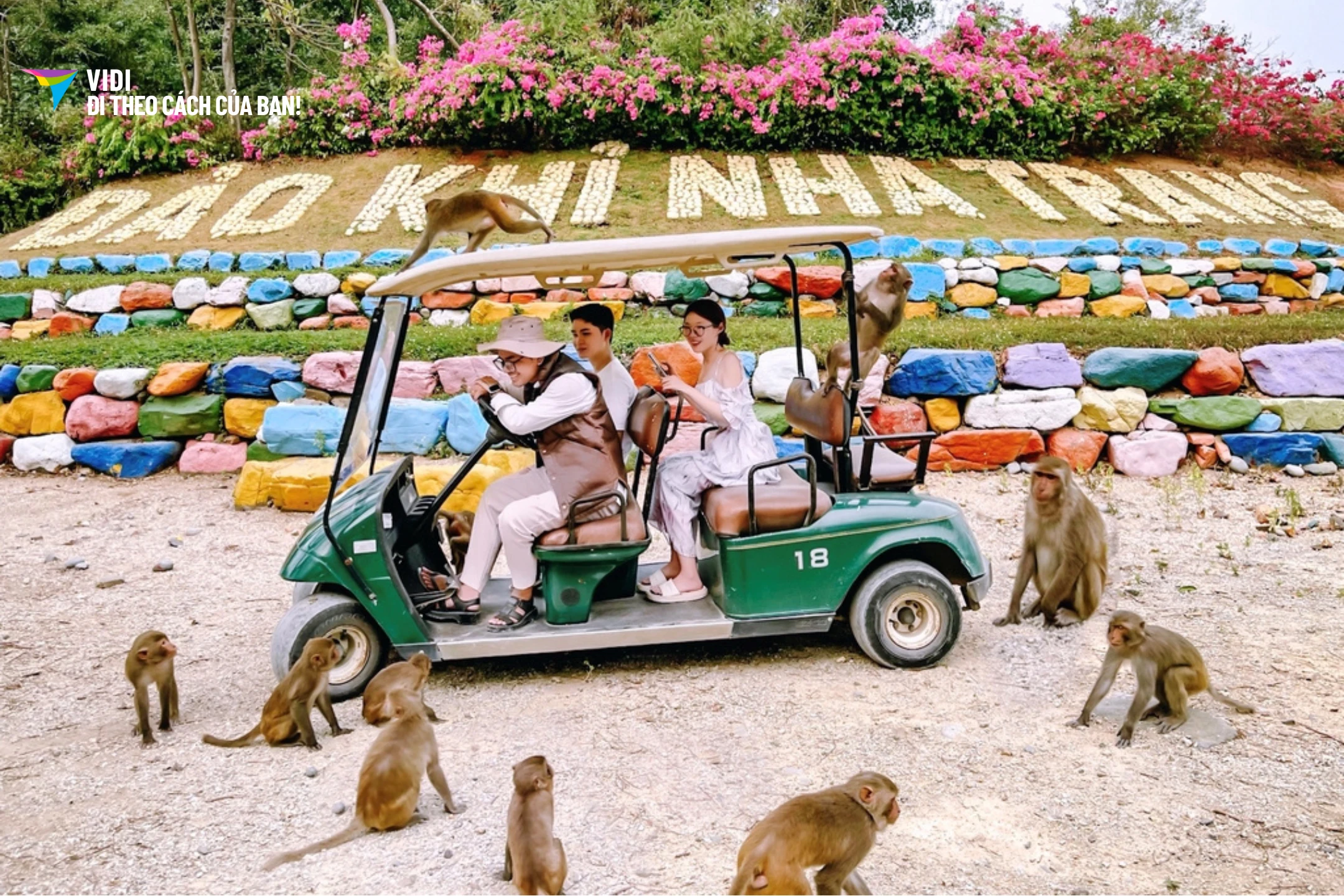 thumbnail Vé Đảo Khỉ Nha Trang