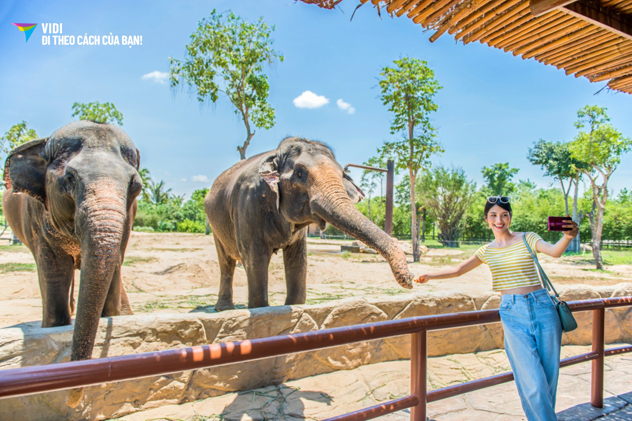thumbnail Vé Vinwonders Nam Hội An