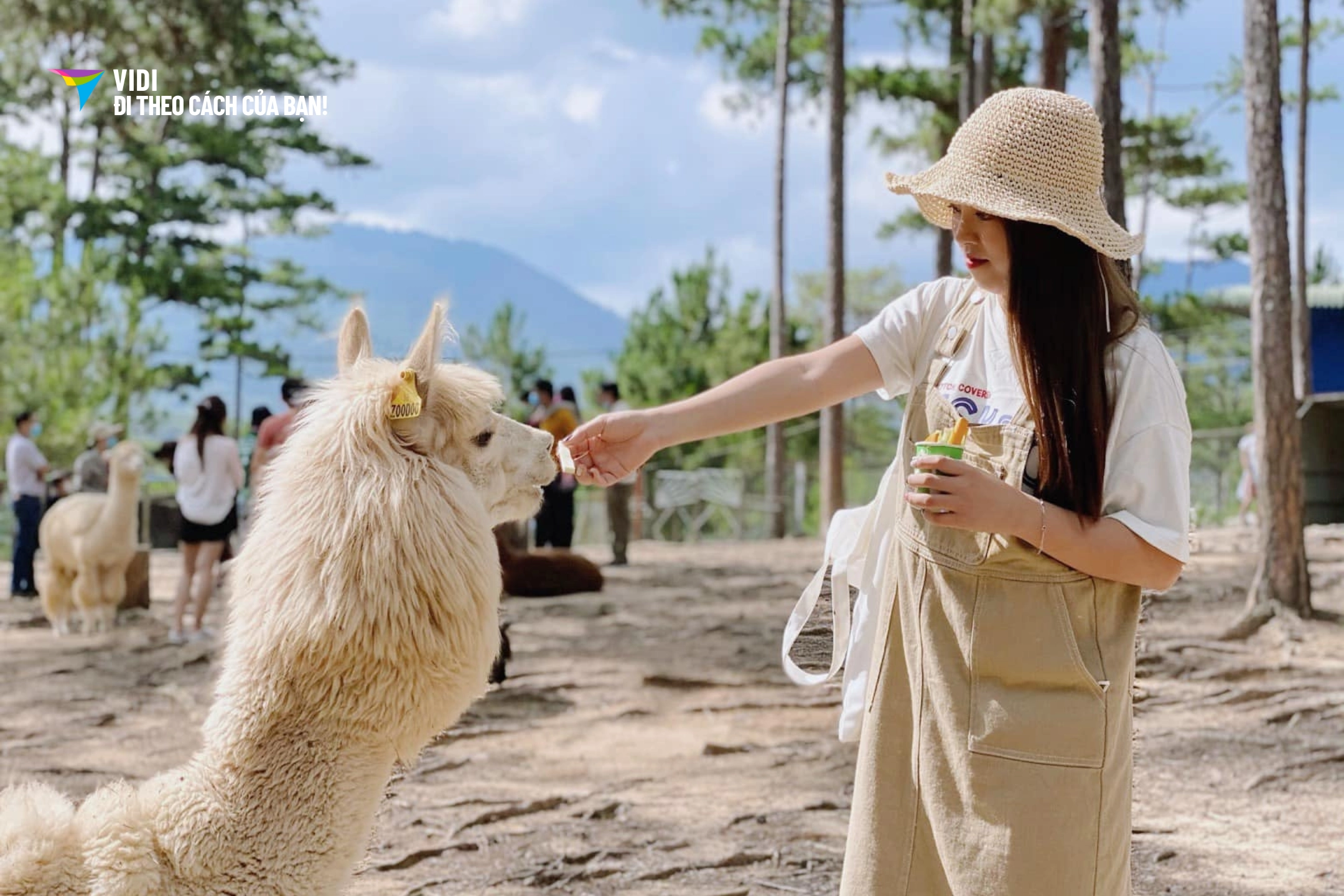 thumbnail Vé ZooDoo Đà Lạt