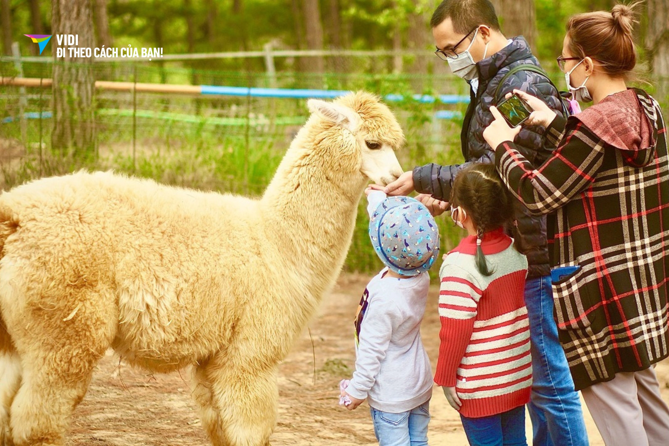 Vé ZooDoo Đà Lạt