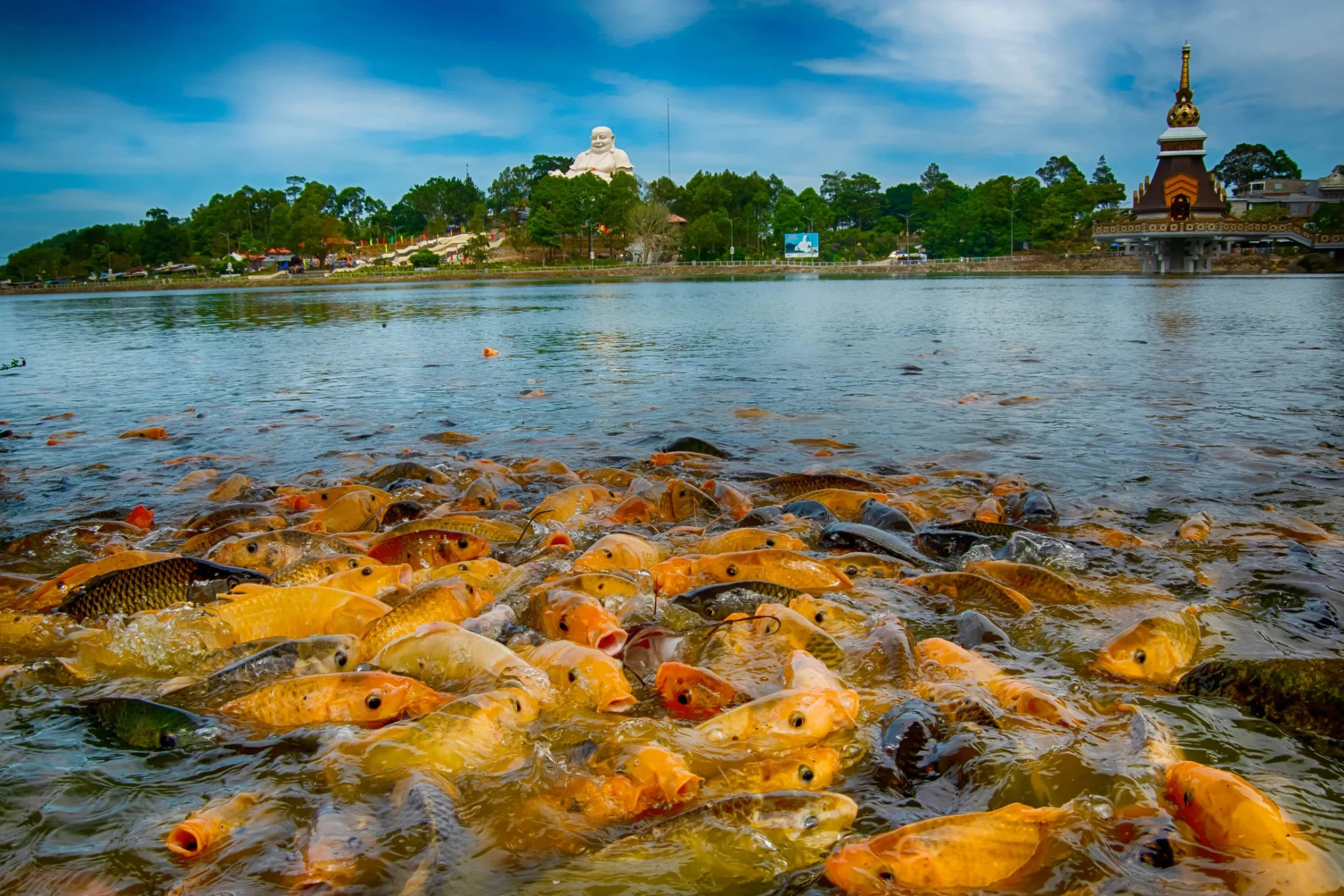 Top 7 trải nghiệm không thể bỏ lỡ tại khu du lịch Núi Cấm An Giang