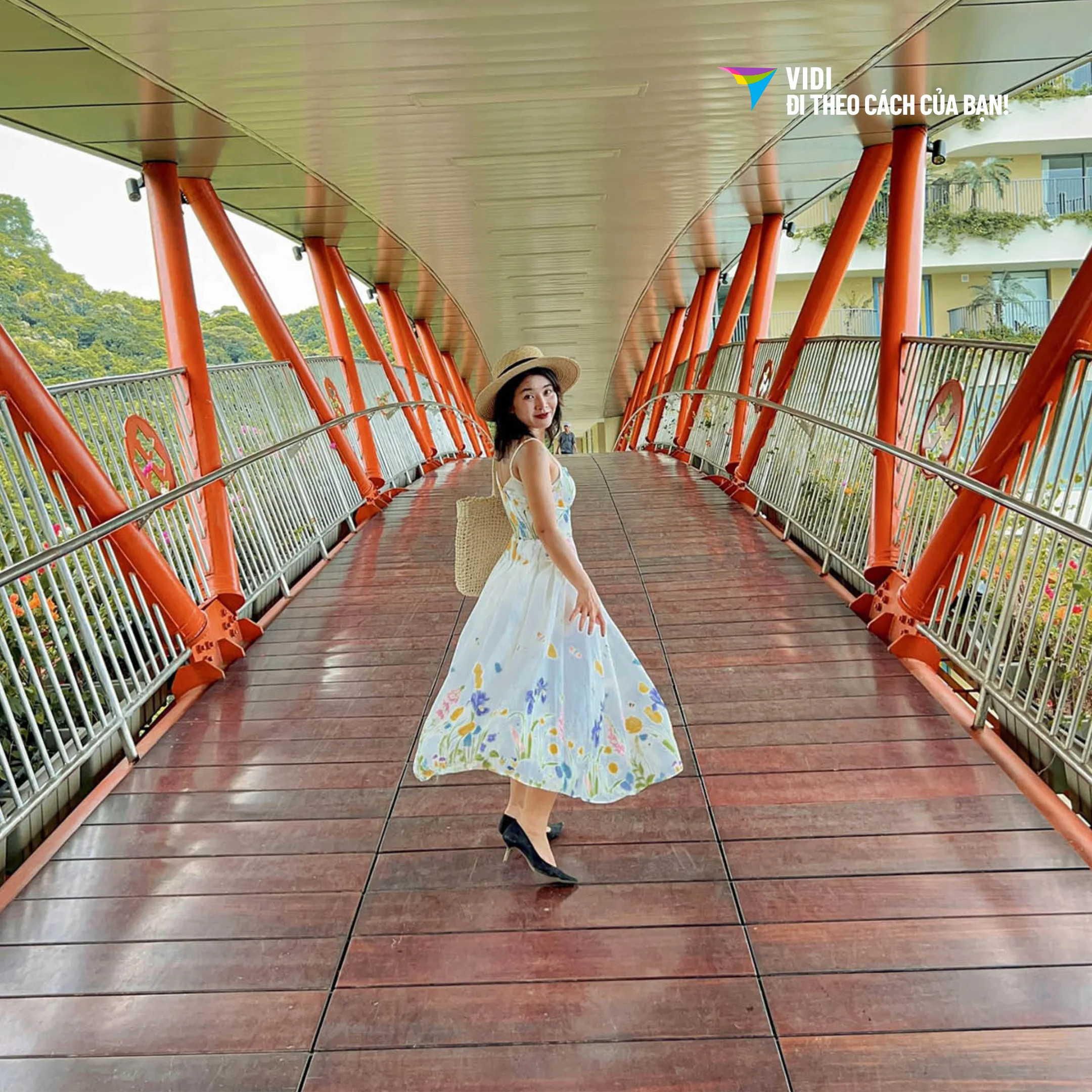 kinh nghiệm đi cáp treo Cát Bà 