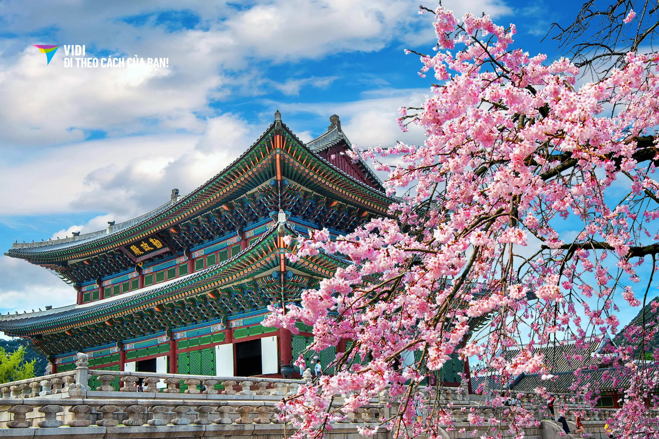Tour Hàn Quốc: Đà Nẵng – Seoul – Đảo…