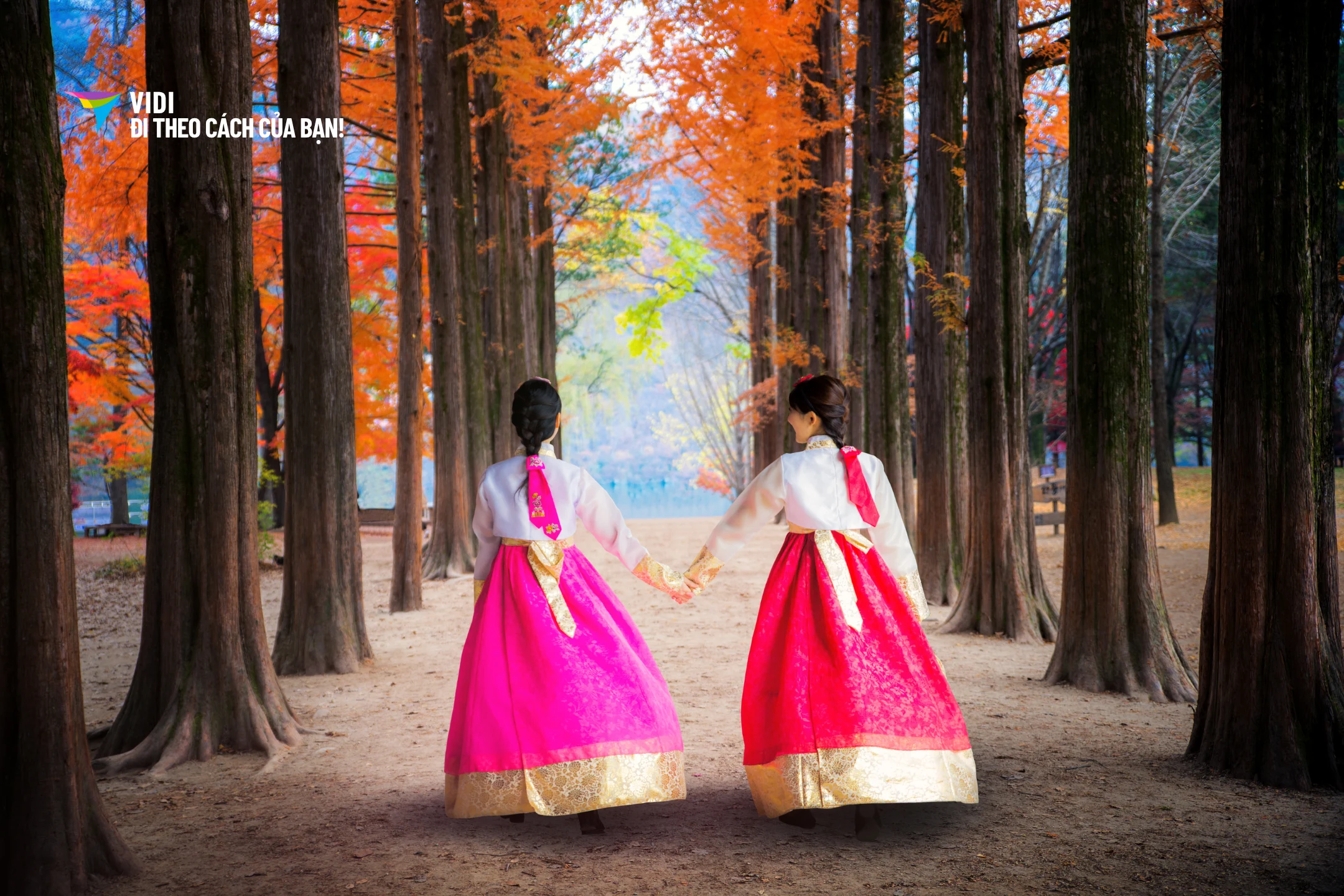 Tour Đà Nẵng - Seoul - Đảo Nami - Everland - Starfield 5 ngày 4 đêm