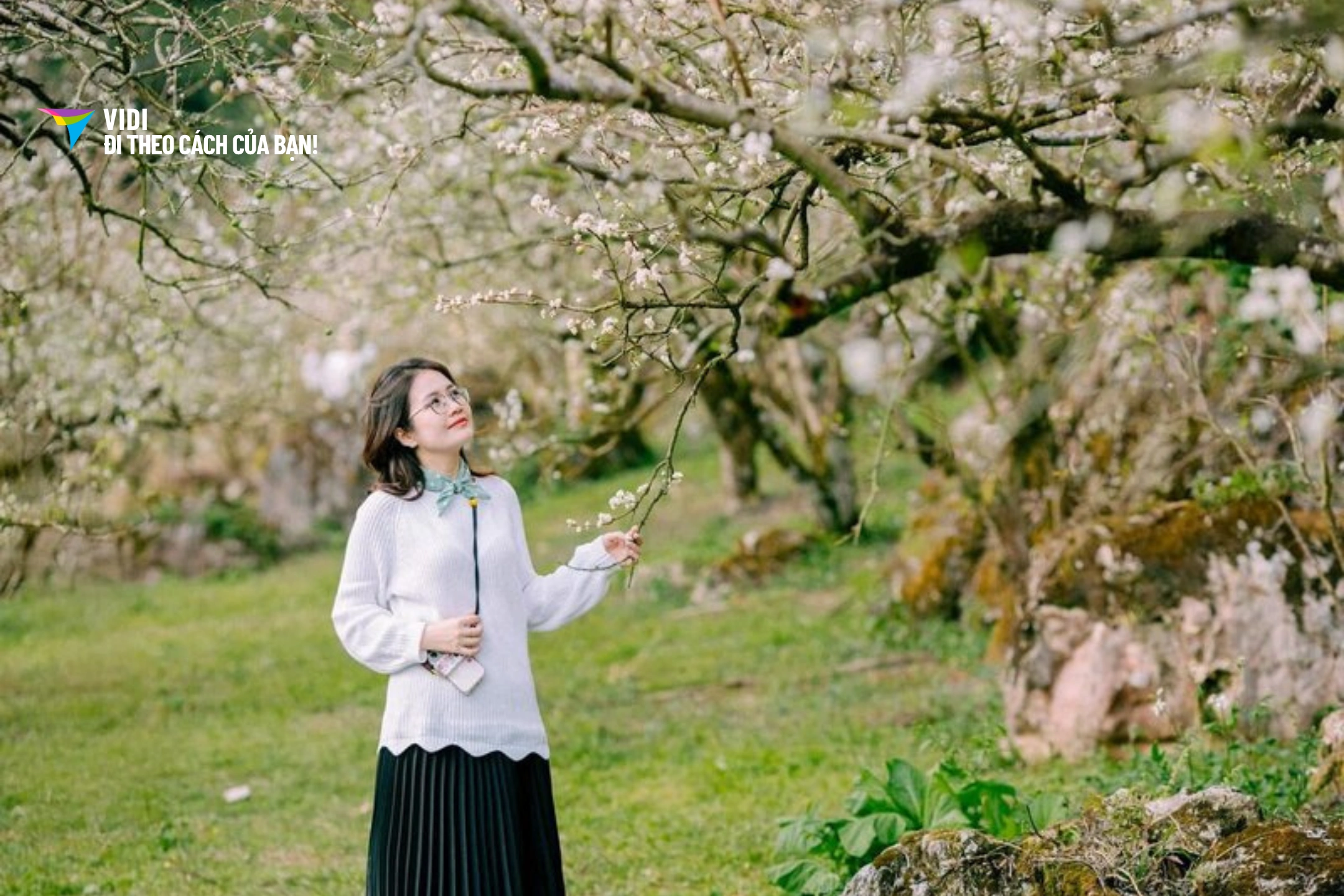 Tour Đài Loan 5 ngày 4 đêm: Hà Nội – Đài Bắc – Đài Trung – Cao Hùng