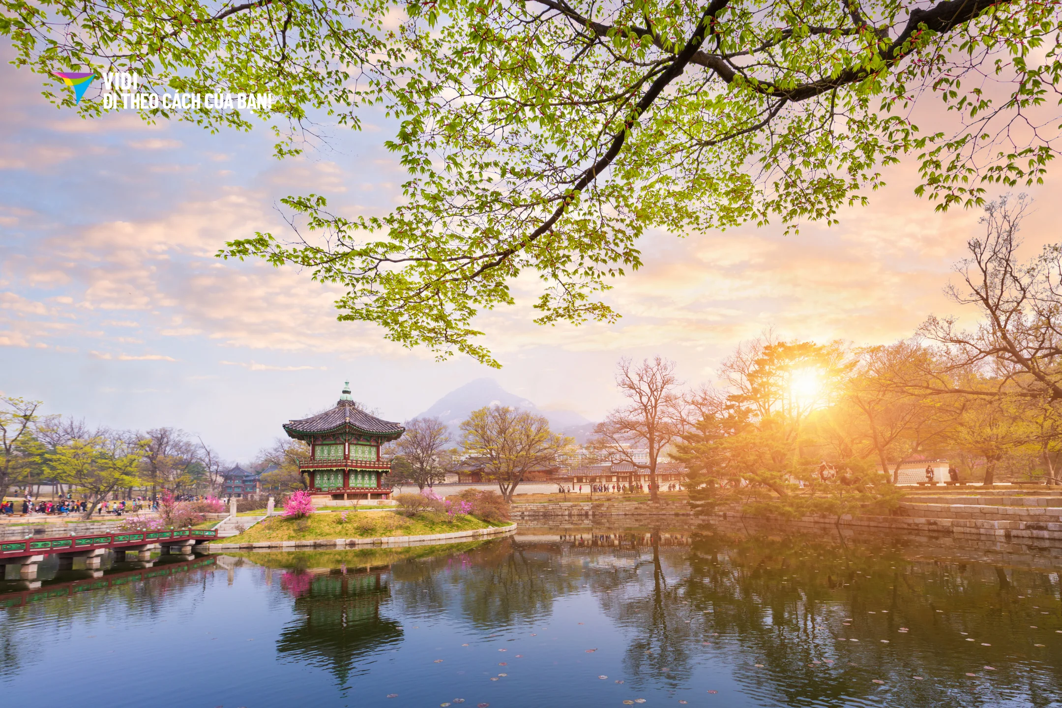 Tour Hàn Quốc: Hải Phòng – Seoul – Nami…