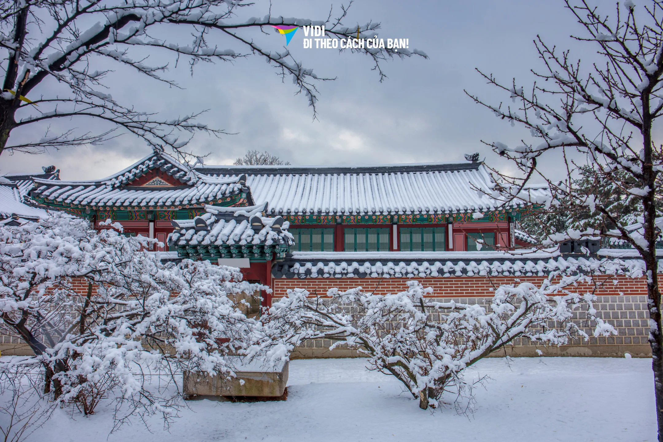 [Từ HCM] Tour Hàn Quốc: Seoul – Lotte World…