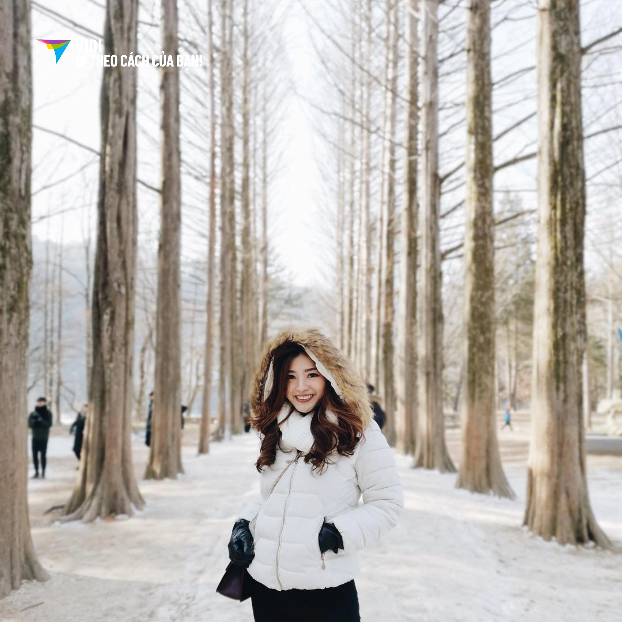 Tour Hàn Quốc: TP.HCM - Seoul - Lotte World - Làng cổ - Trượt tuyết – Hái dâu 5 ngày 4 đêm