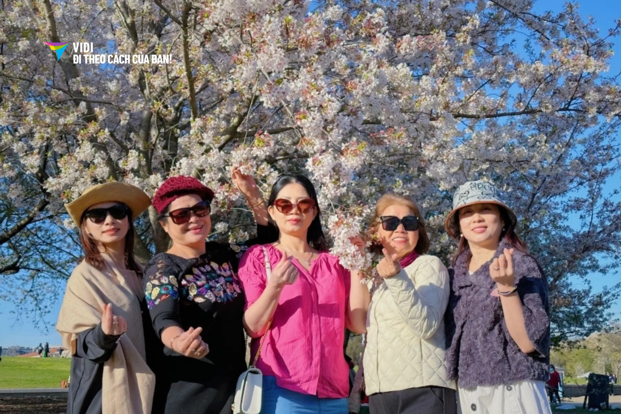 Hành trình từ New York đến Los Angeles trong mùa hoa anh đào, khởi hành từ Hà Nội