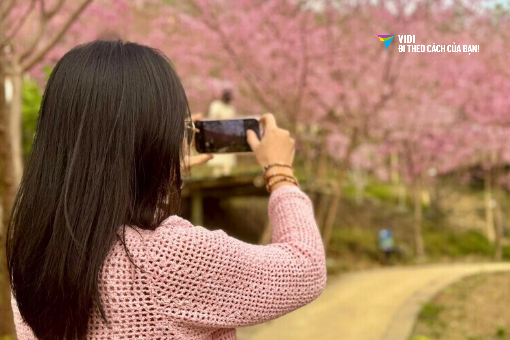 Tour Hoa Kỳ mùa hoa anh đào 