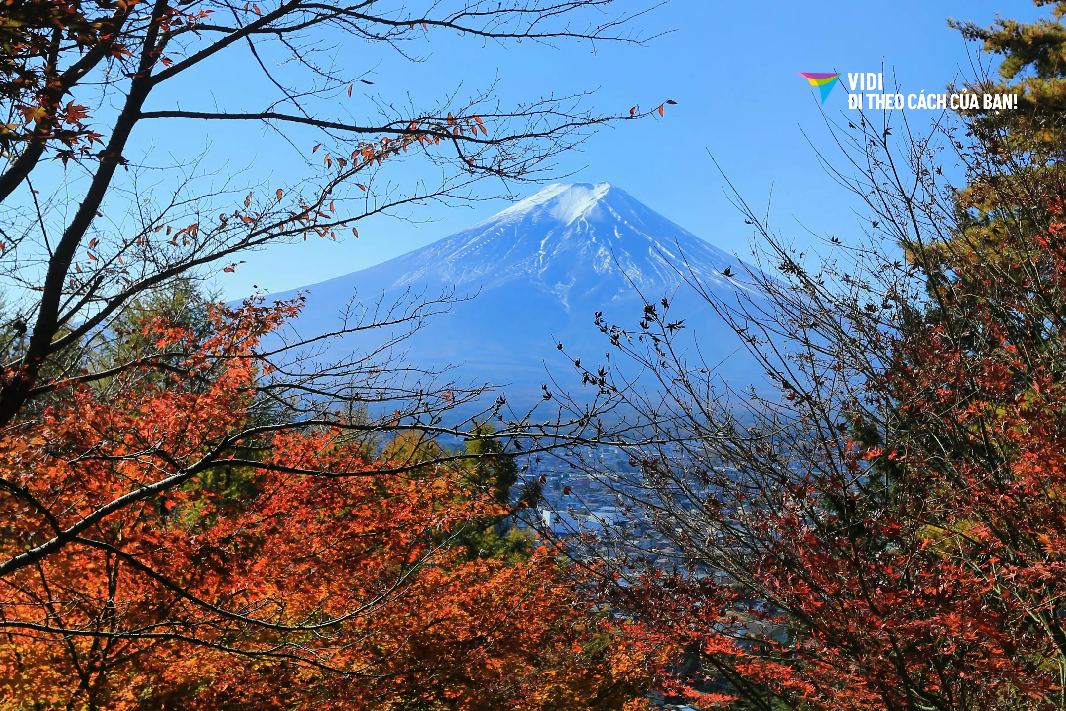 Tour Nhật Bản mùa thu 6N5Đ: Hà Nội – Osaka – Kyoto – Nagoya – Phú Sỹ – Tokyo | Bay Vietjet Air