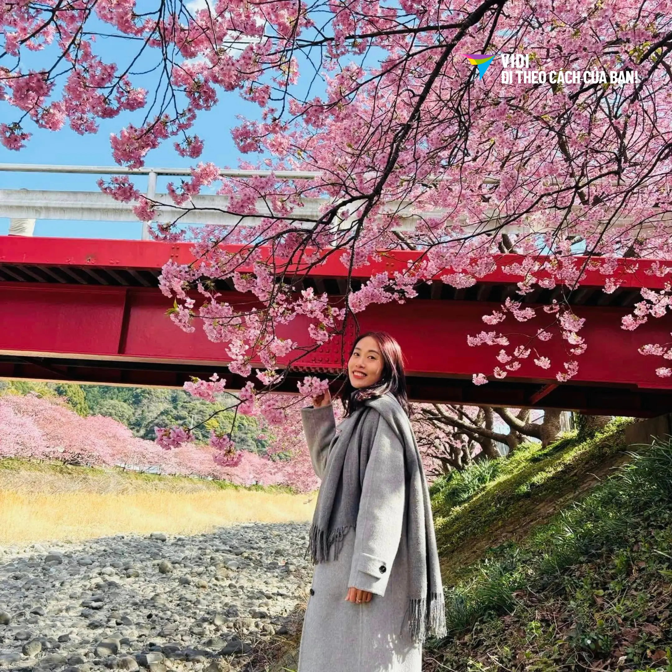 Tour Nhật Bản: Hồ Chí Minh - Osaka – Kyoto – Yamanashi – Tokyo 5 ngày 5 đêm | Bay Vietnam Airlines