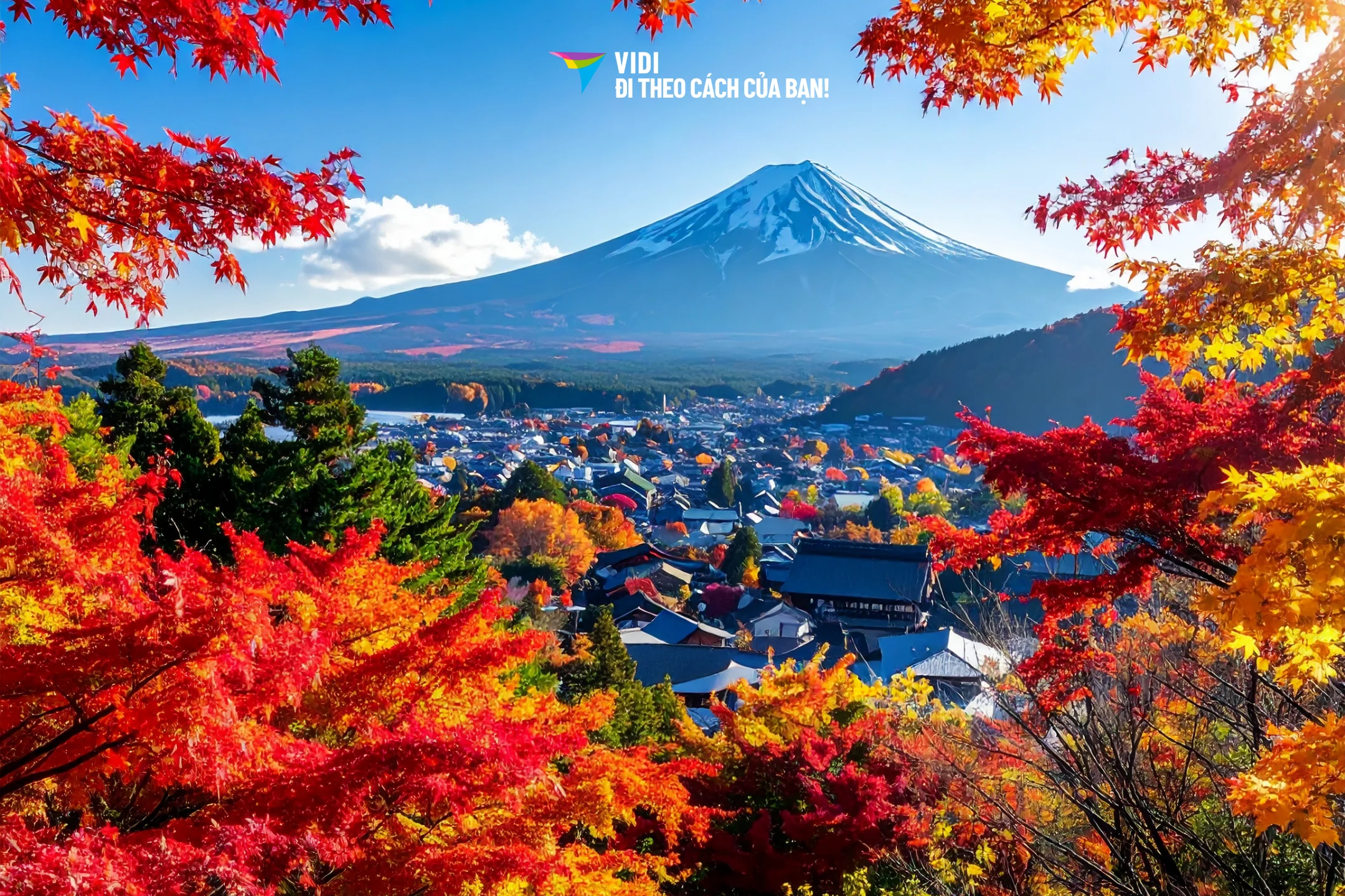 [Từ Hồ Chí Minh] Tour Nhật Bản: Osaka –…