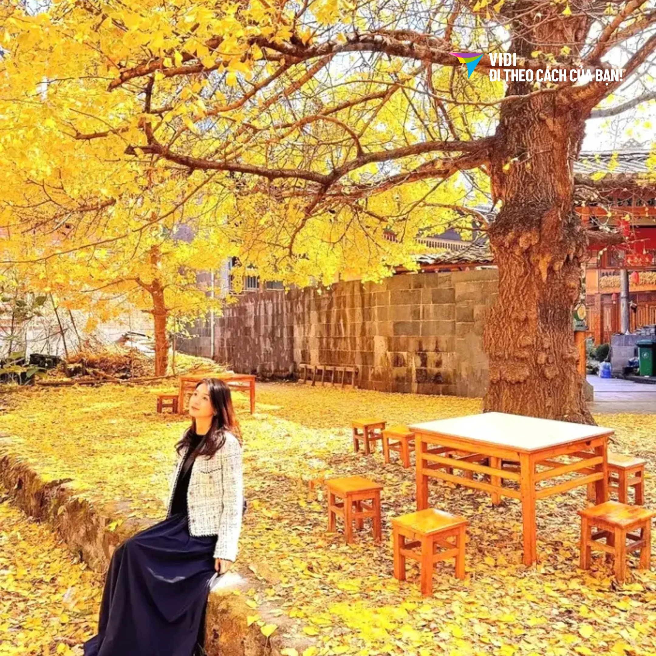 Tour Trung Quốc 6N5Đ: TP.HCM – Lệ Giang – Đại Lý - Shangrila