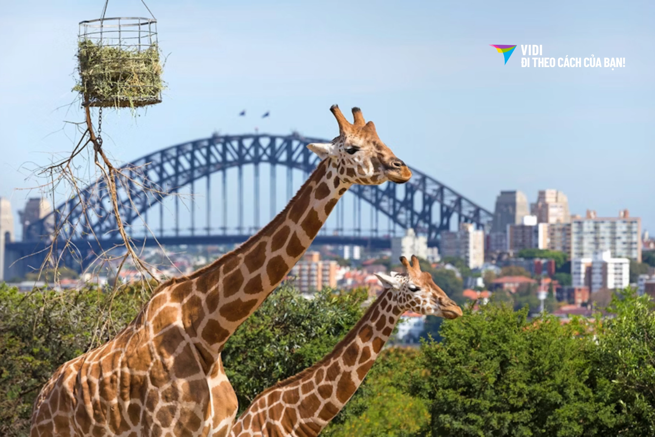 Tour Úc 7N6Đ: Hà Nội – Sydney – Canberra – Melbourne