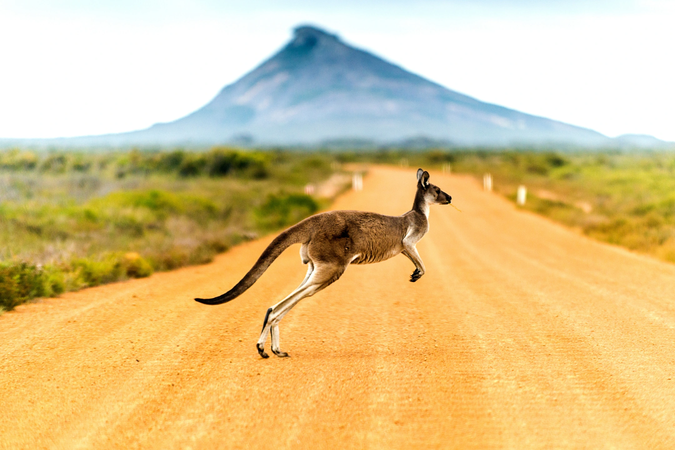 Tour Úc 7N6Đ: TP.HCM – Melbourne – Sydney –…