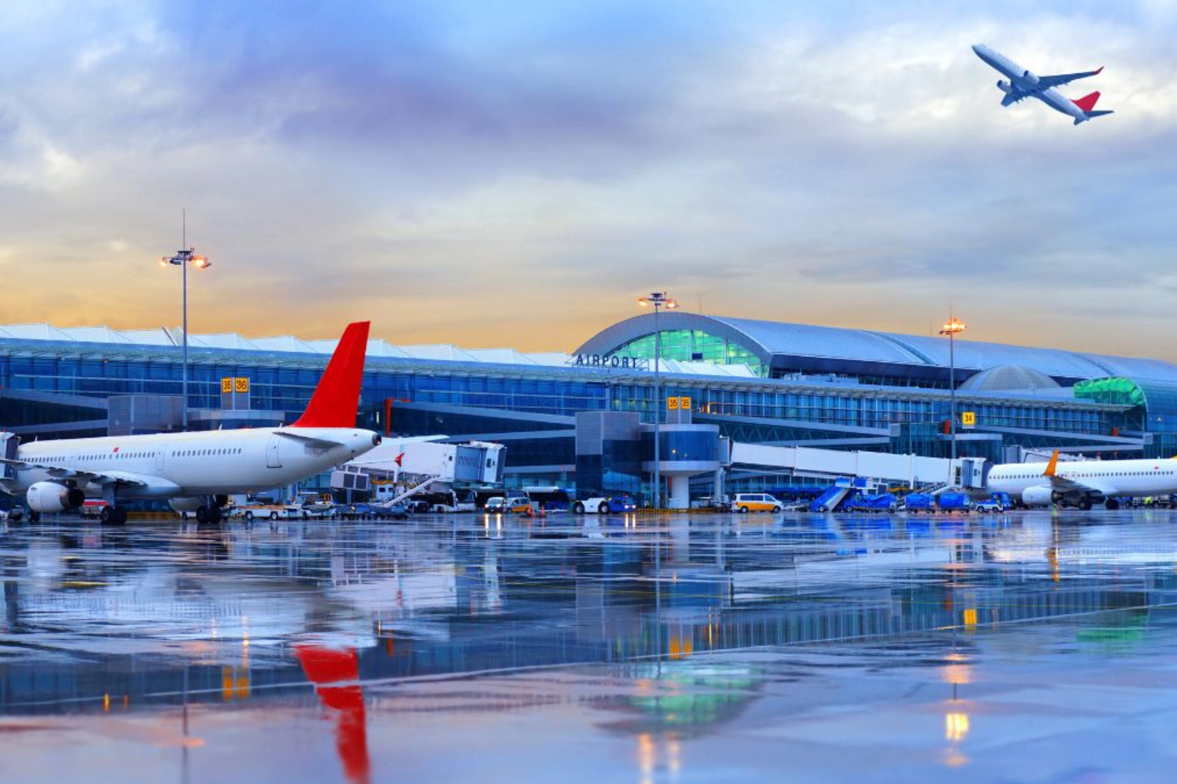 Dịch vụ Fast track sân bay Nội Bài Vidi