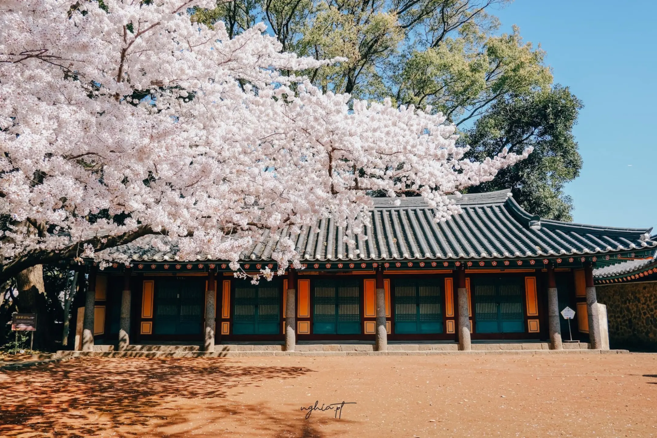 Tour Hàn Quốc từ Hải Phòng