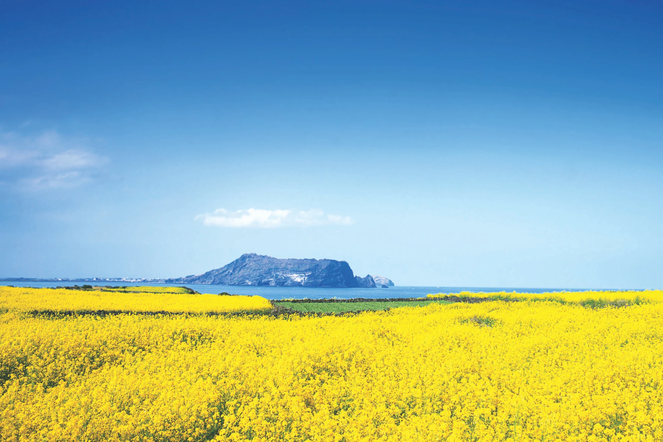 Tour du lịch Hàn Quốc