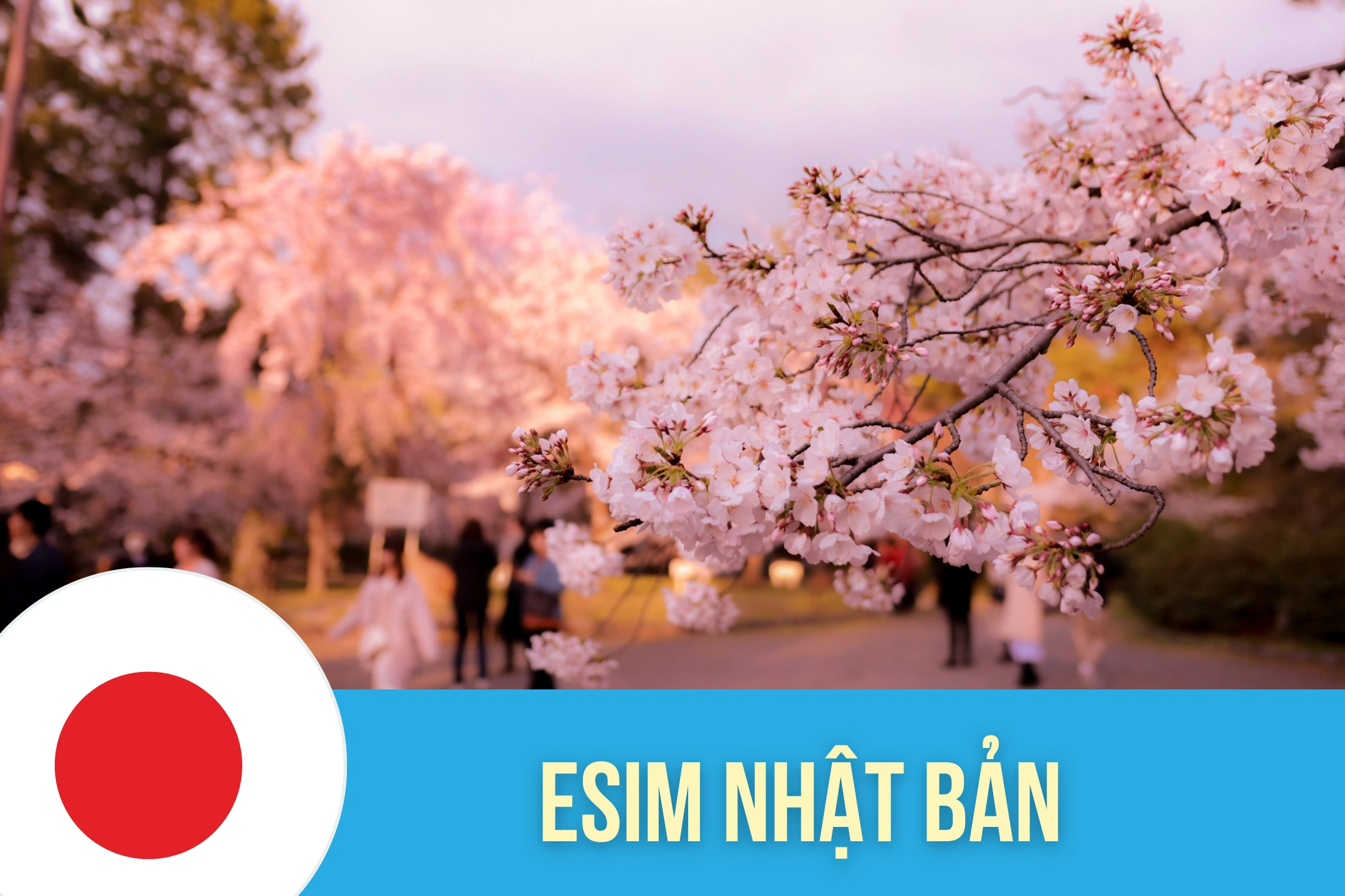 eSIM Nhật Bản