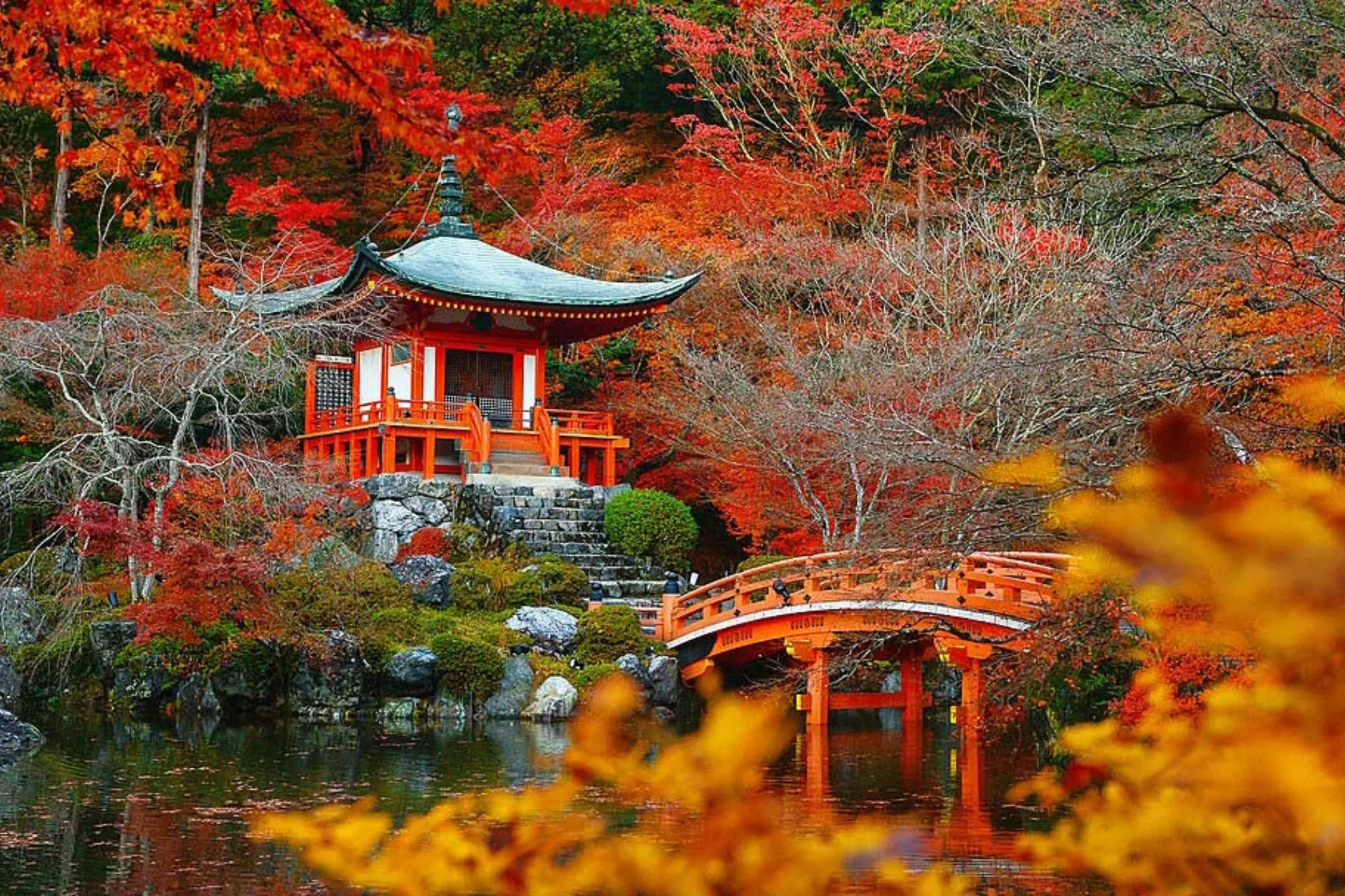 Lễ hội lá đỏ Nhật Bản