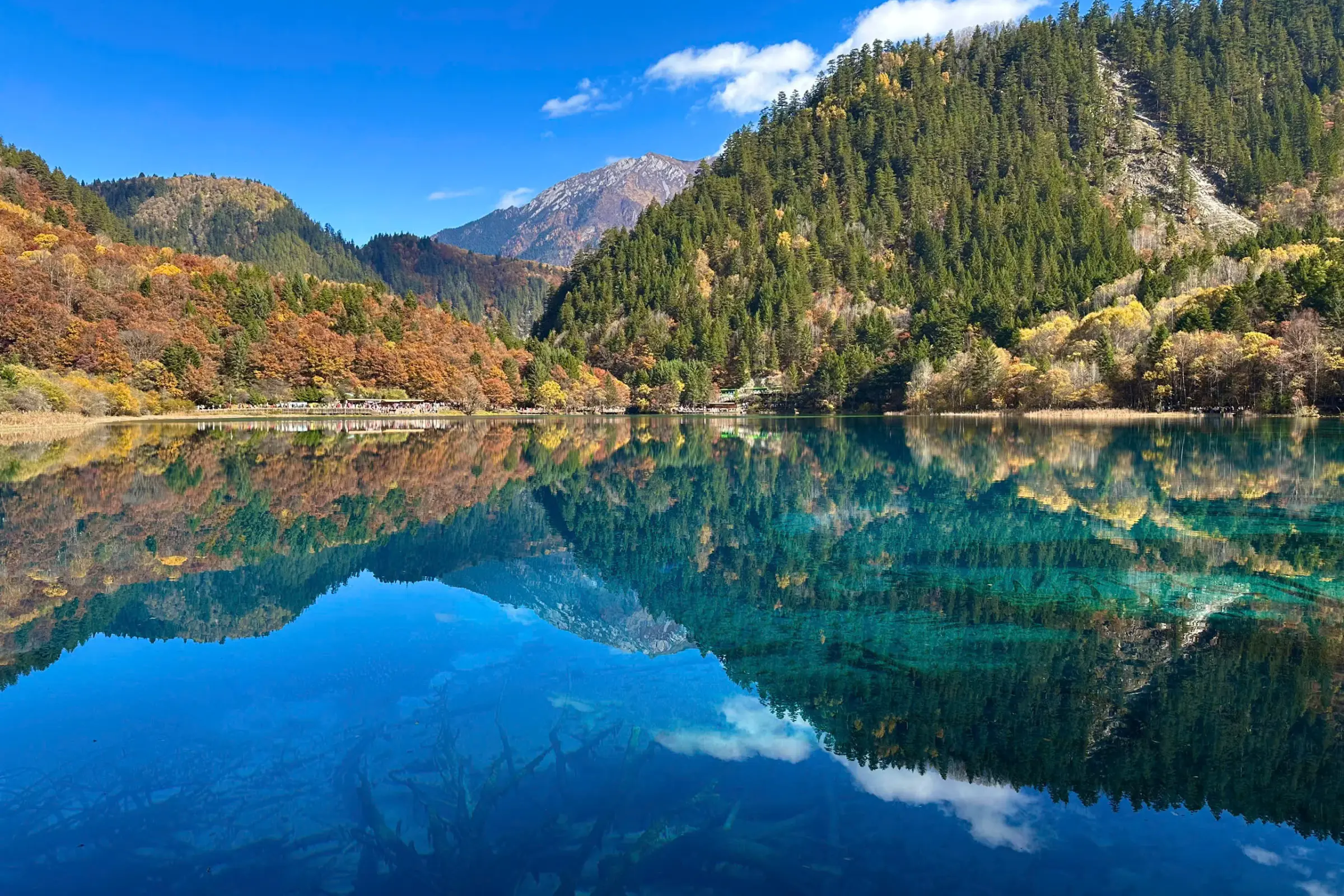 Tour Cửu Trại Câu - Công viên Gấu trúc - Trượt Tuyết Gia Cô Sơn Tết Dương lịch 2026