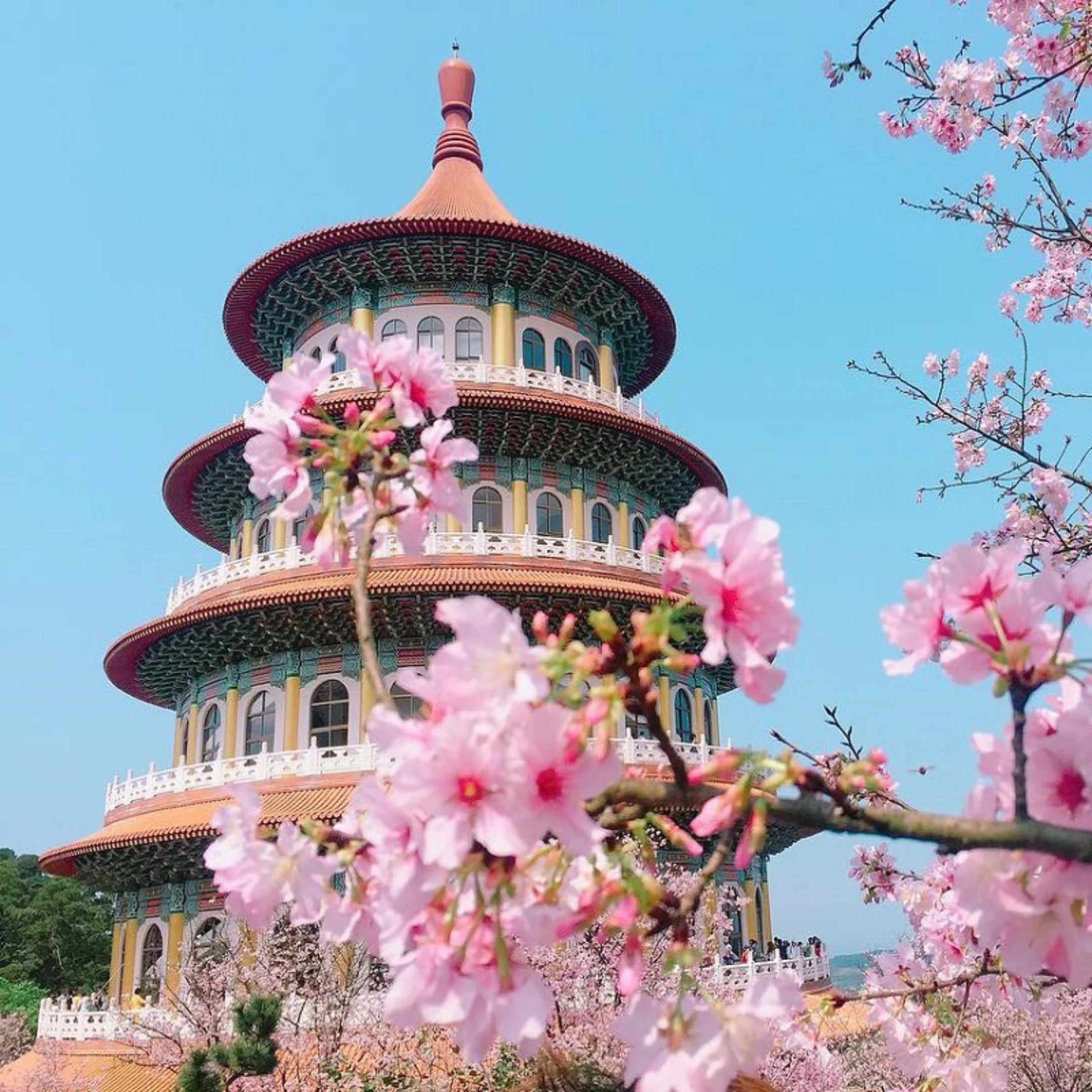 Tour Đài Loan Tết Dương lịch 2026 Vidi