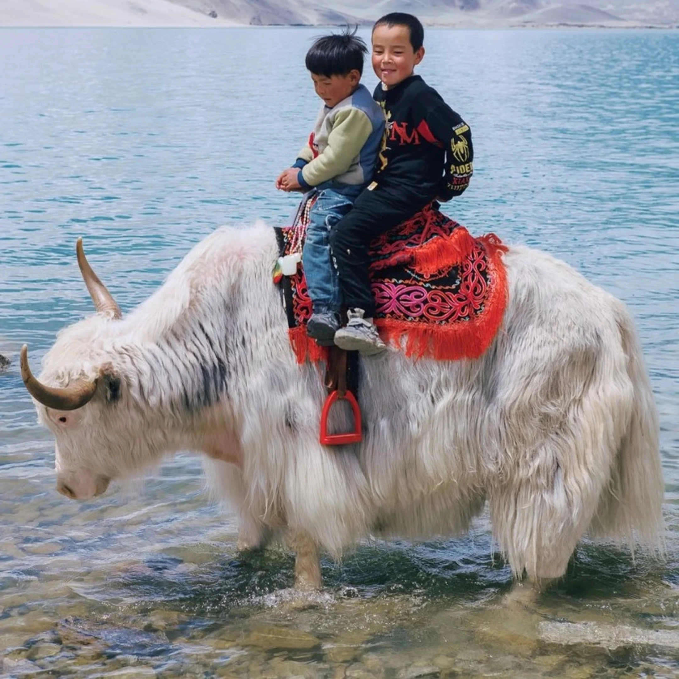 Tour Nam Tân Cương Tết Dương Lịch 2026