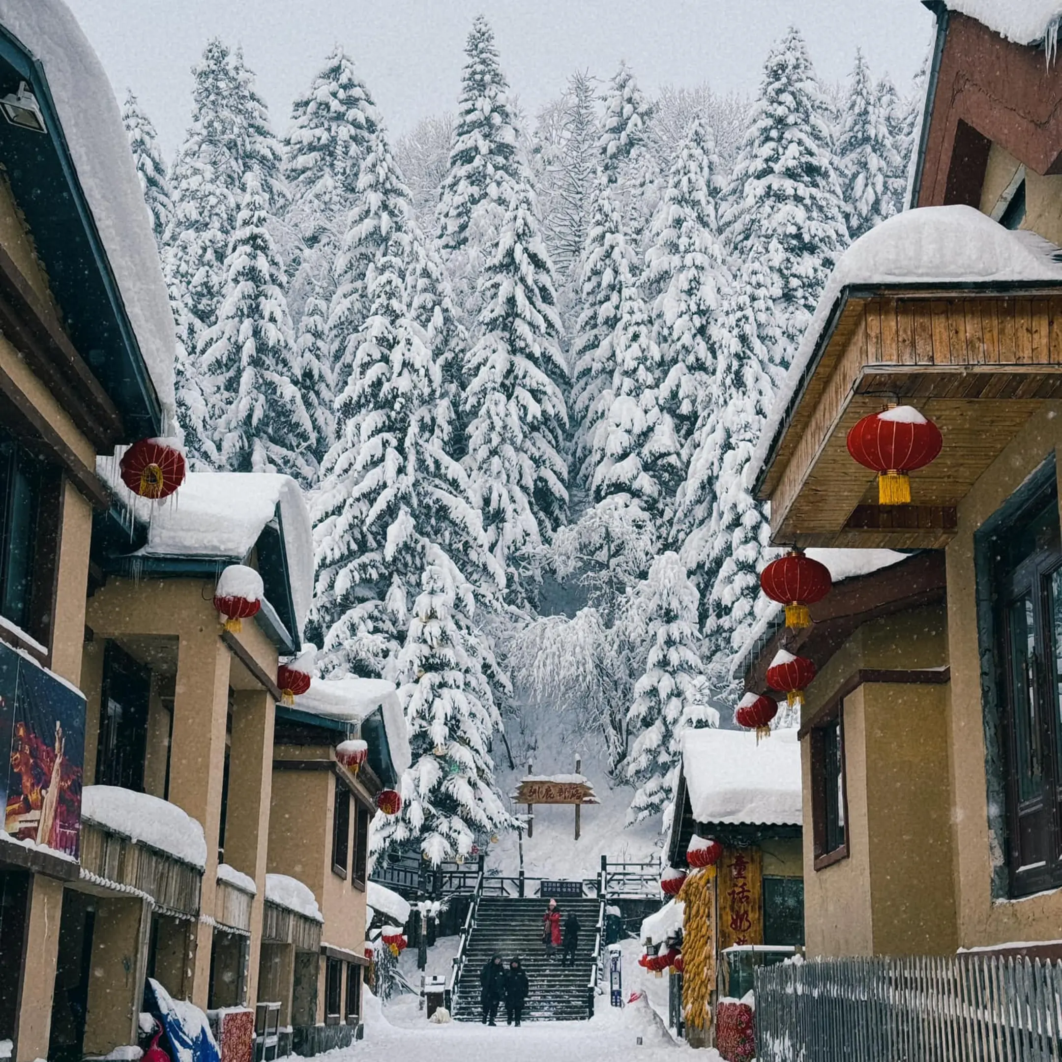 Tour Trung Quốc: Hà Nội – Thành Đô – Cáp Nhĩ Tân – Tết Dương lịch 2026