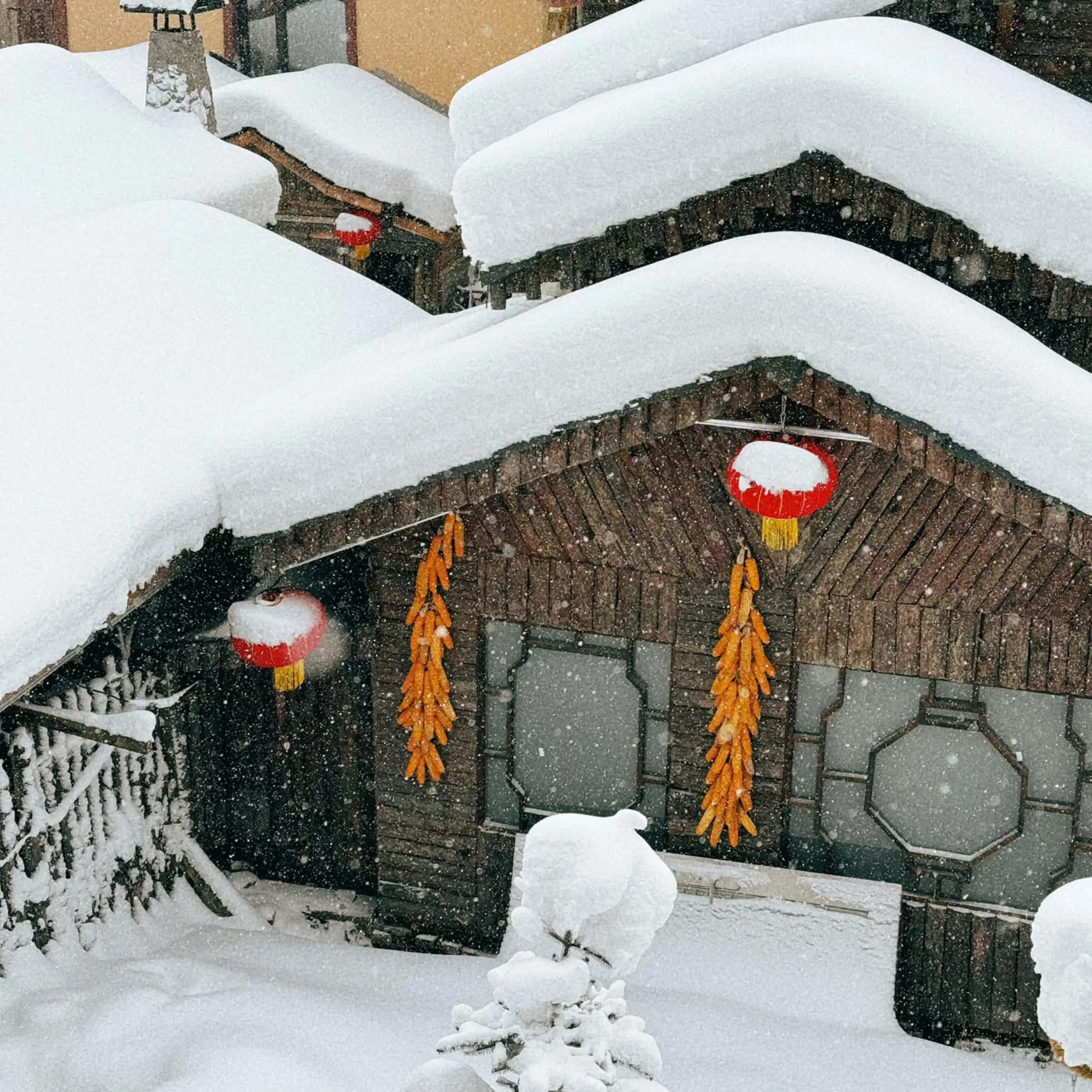 Tour Trung Quốc: Hà Nội – Thành Đô – Cáp Nhĩ Tân – Tết Dương lịch 2026