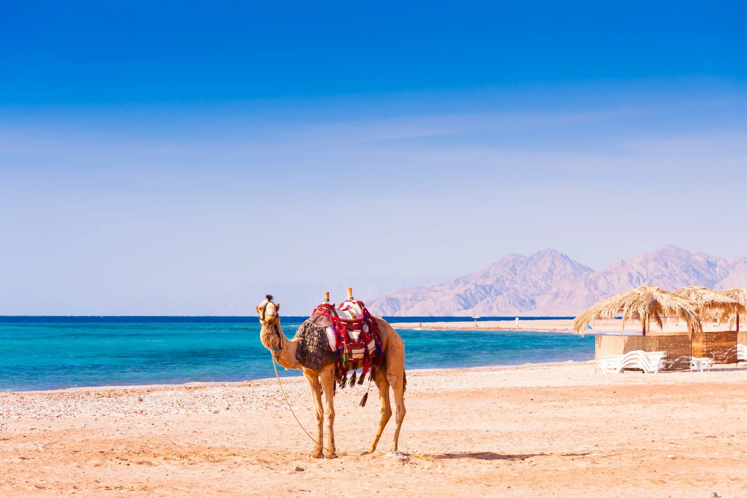 Tour Ai Cập Tết 2026 (10N9Đ): Cairo - Alexandria - Sa Mạc Trắng - Luxor - Hurghada