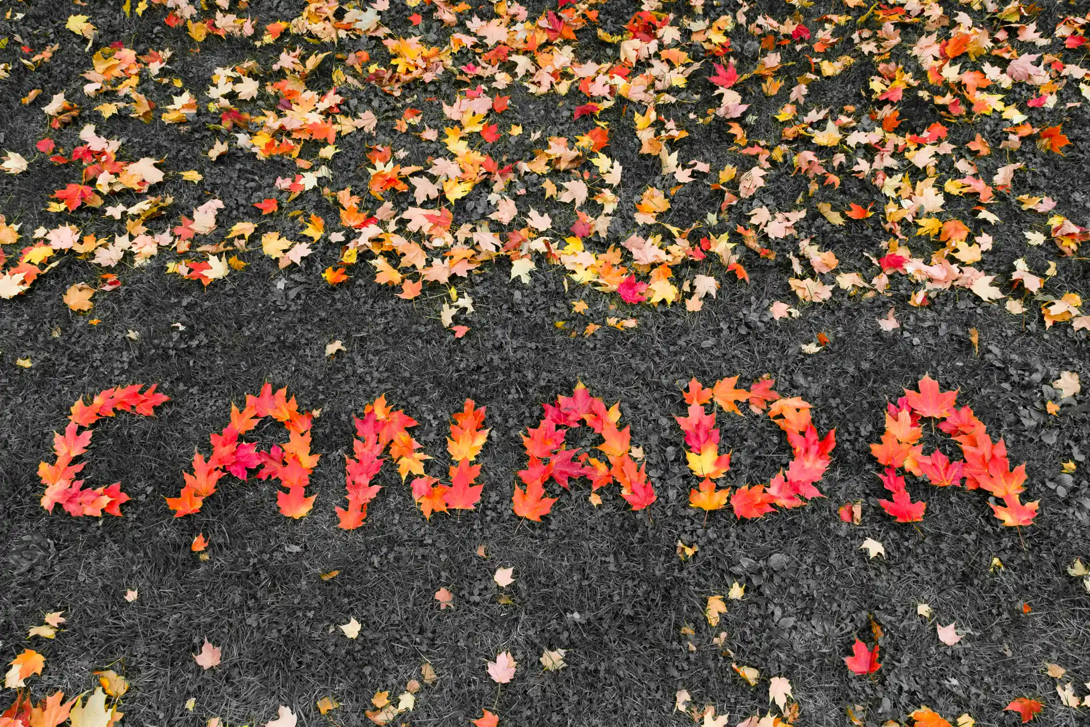 Tour Canada mùa hoa anh đào: Vancouver - Victoria - Whistler (7N6Đ) | Bay Cathay Pacific 5*