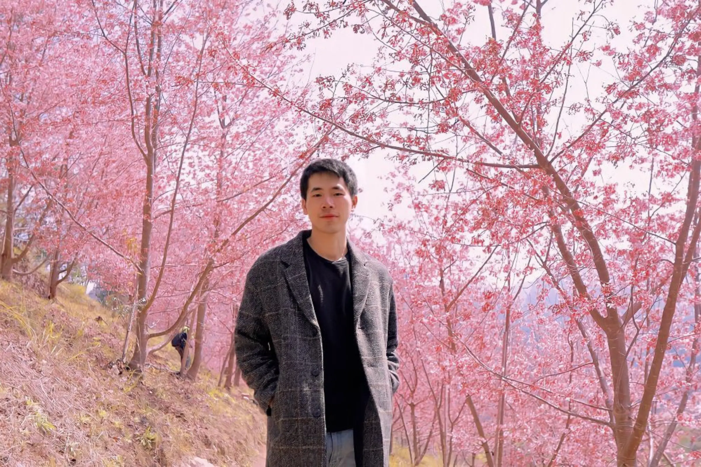 Tour Đài Loan Tết 2026: Hà Nội - Đài Nam - Cao Hùng - Đài Trung - Đài Bắc