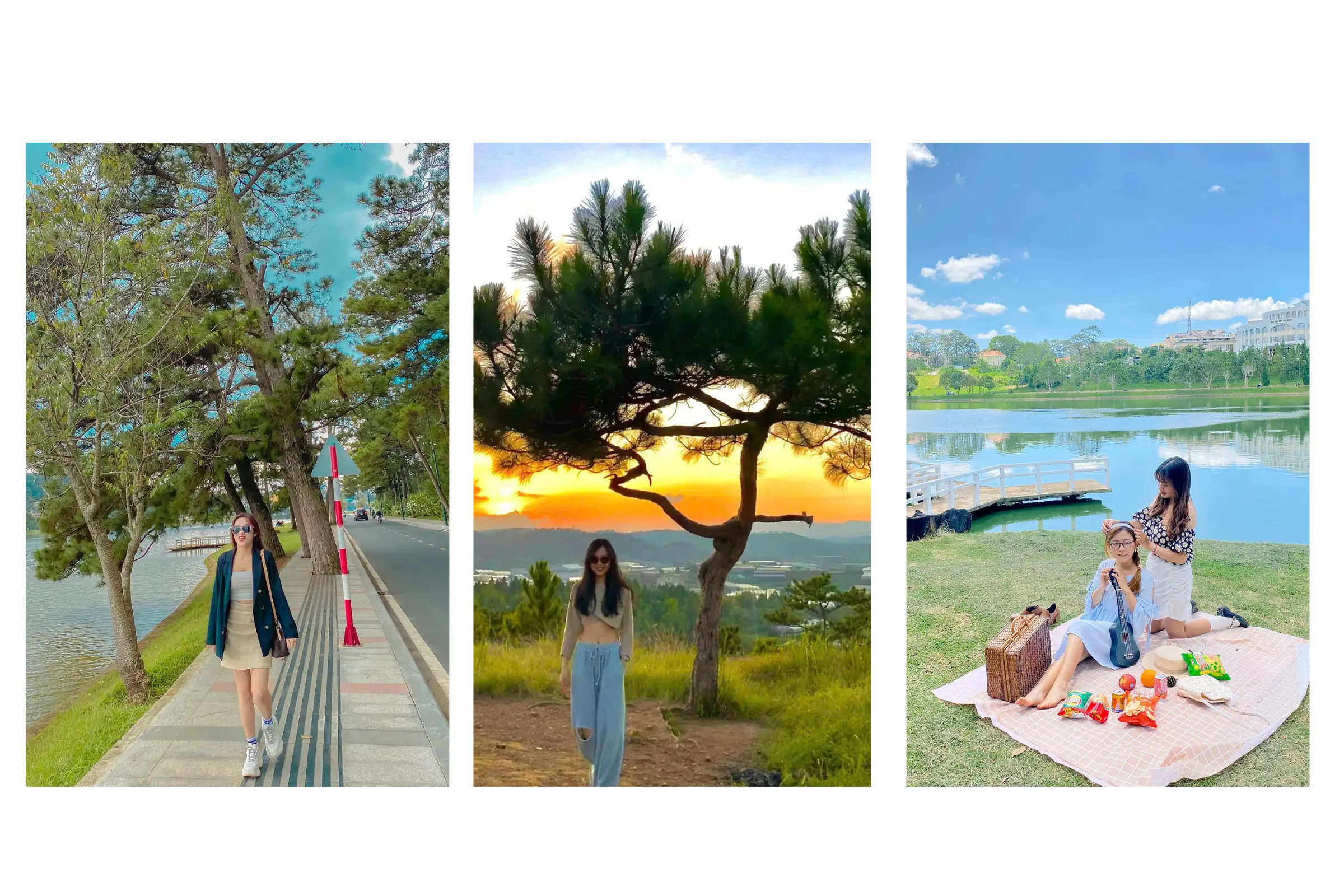 tour-du-lich-da-lat-vidi (12)