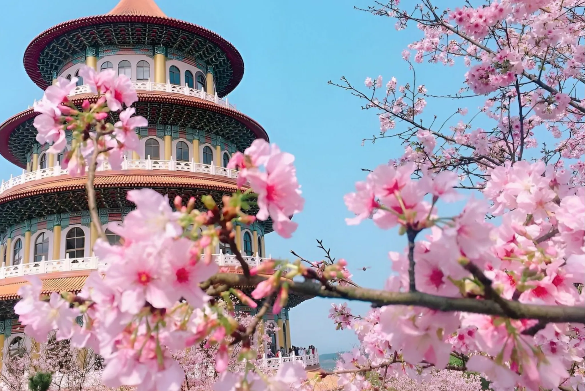 Kinh nghiệm du lịch Đài Loan mới nhất