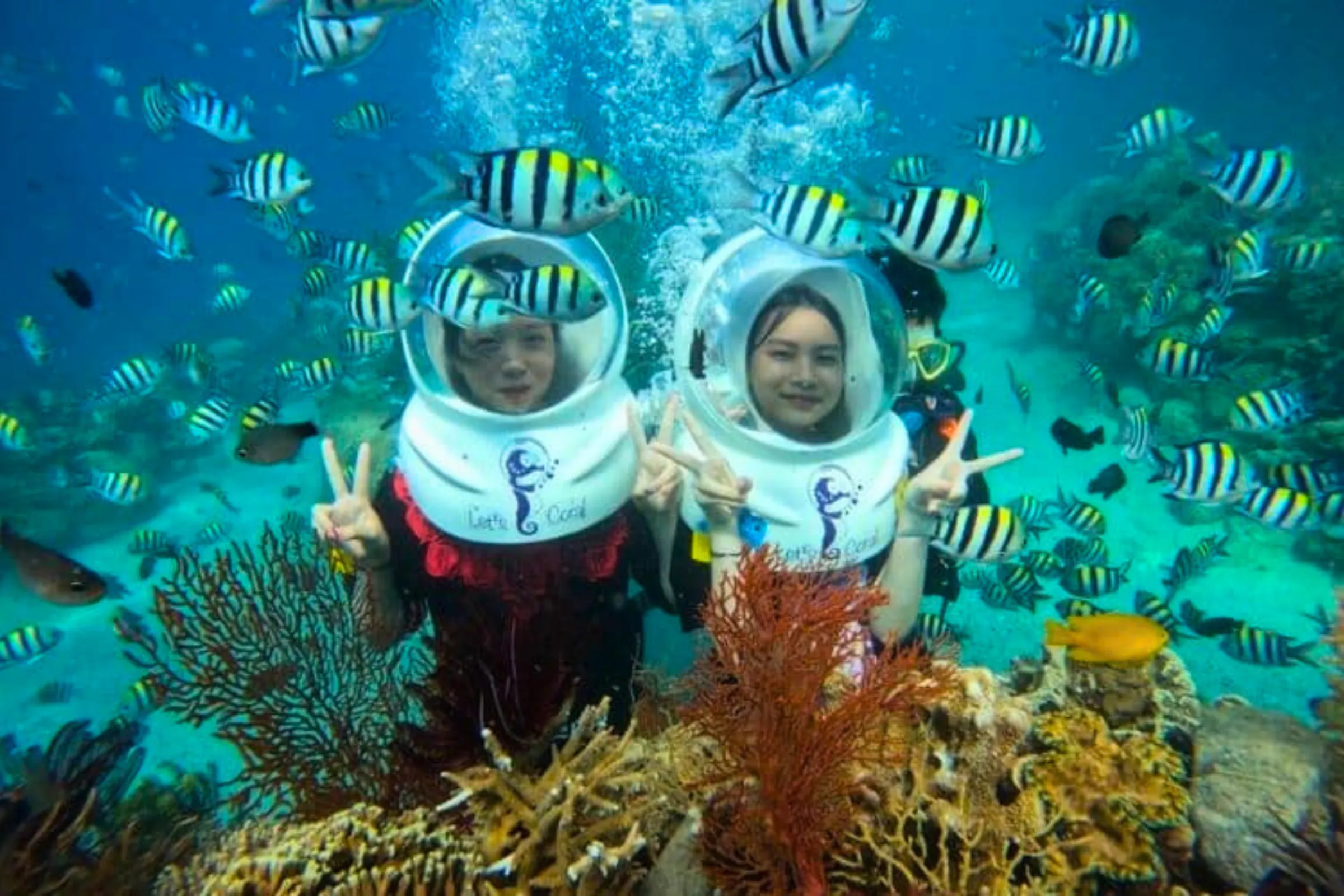 Lặn biển ngắm san hô Hòn Mun