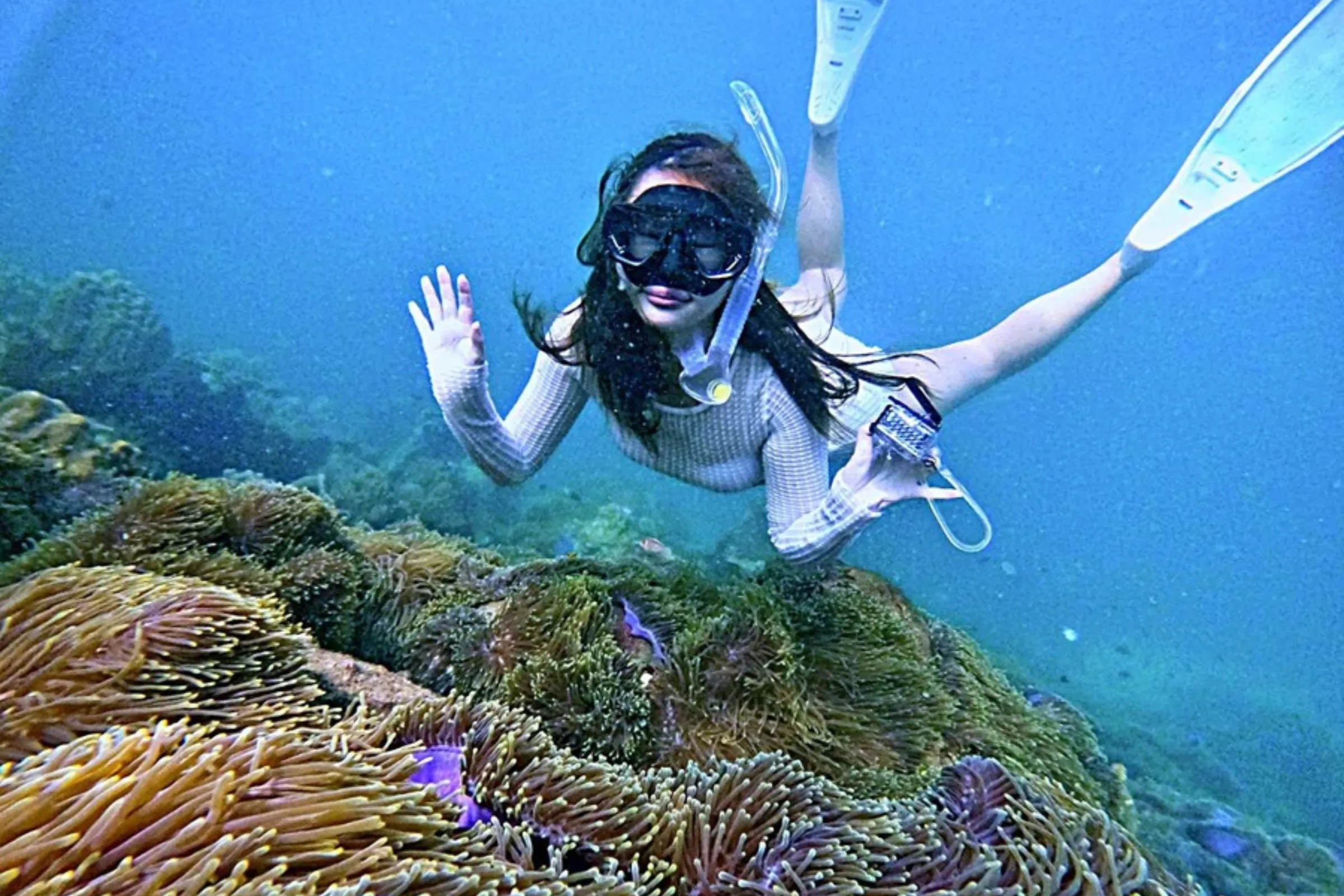 Lặn ngắm san hô Phú Quốc