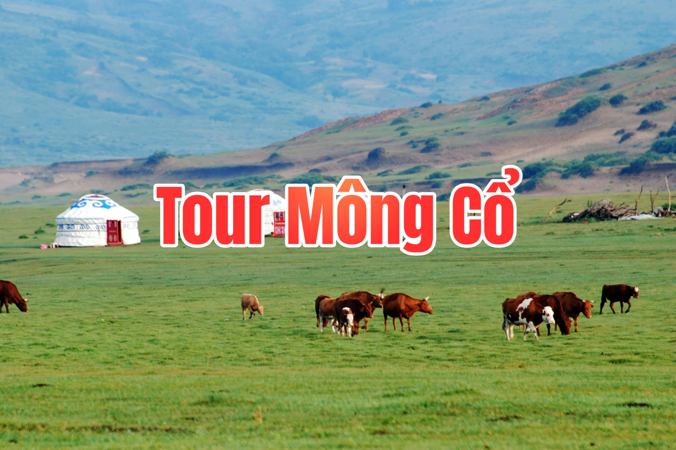 Tour Mông Cổ 5 ngày 4 đêm, bay Mongolian Airlines, khởi hành từ TP.HCM